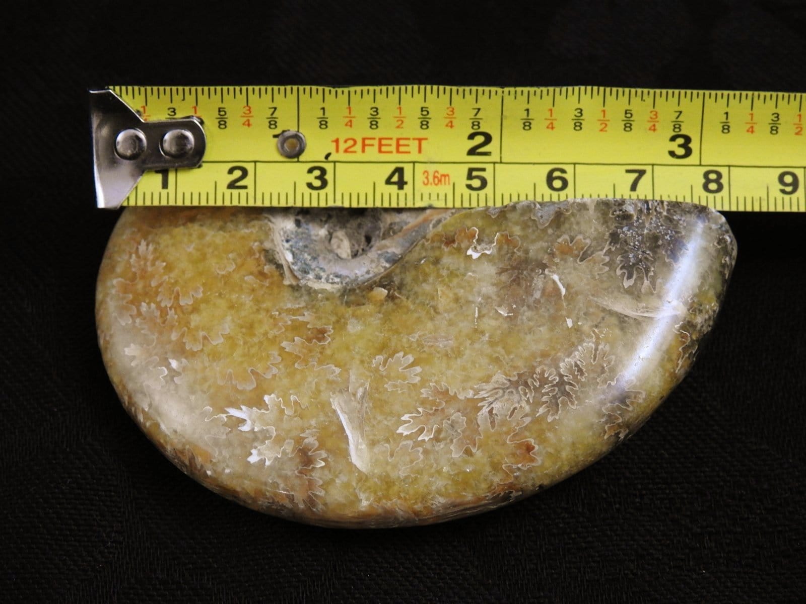 Authentic Ammonite Fossil from Morocco - Natural Stone for Home Decor, Jewelry Making & Fossil Collecting - Perfect for Gifts, Science Education & Meditation Spaces