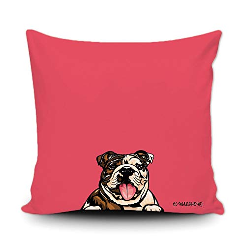 English Bulldog-1-4