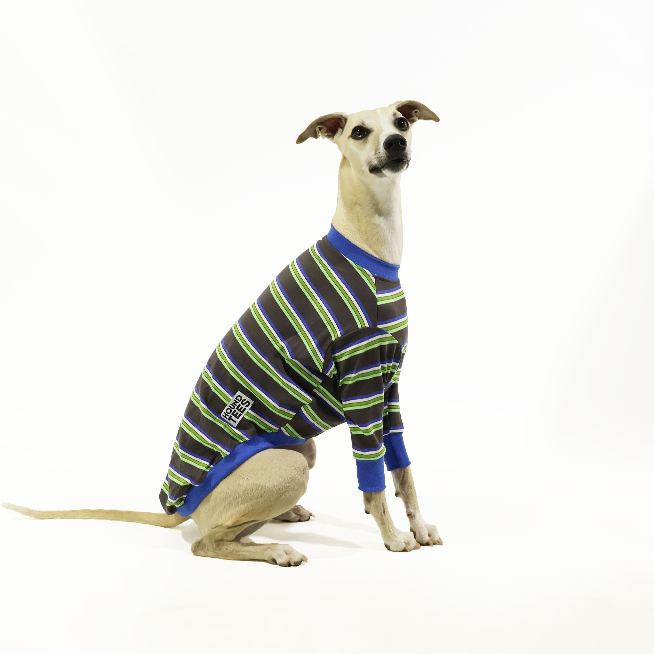 Bush Whacker Whippet Long Sleeve Hound T-Shirt for Men - Comfortable Hunting & Outdoor Dog Walking Apparel