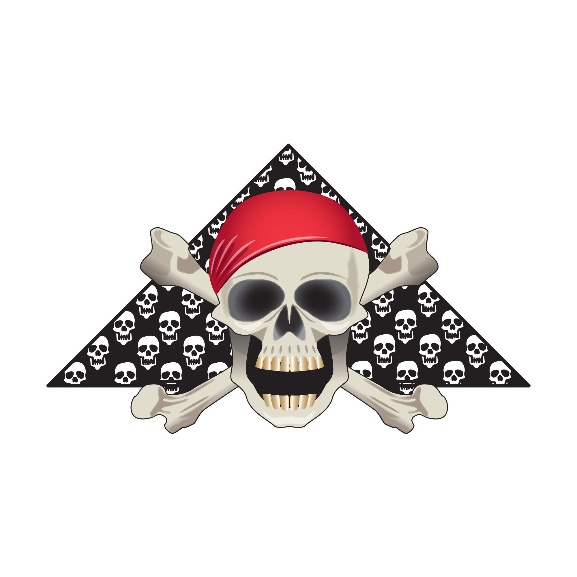 WindNSun Delta XT Nylon Kite - Skull & Bones Design, 54 Inch Wide for Outdoor Beach & Park Flying