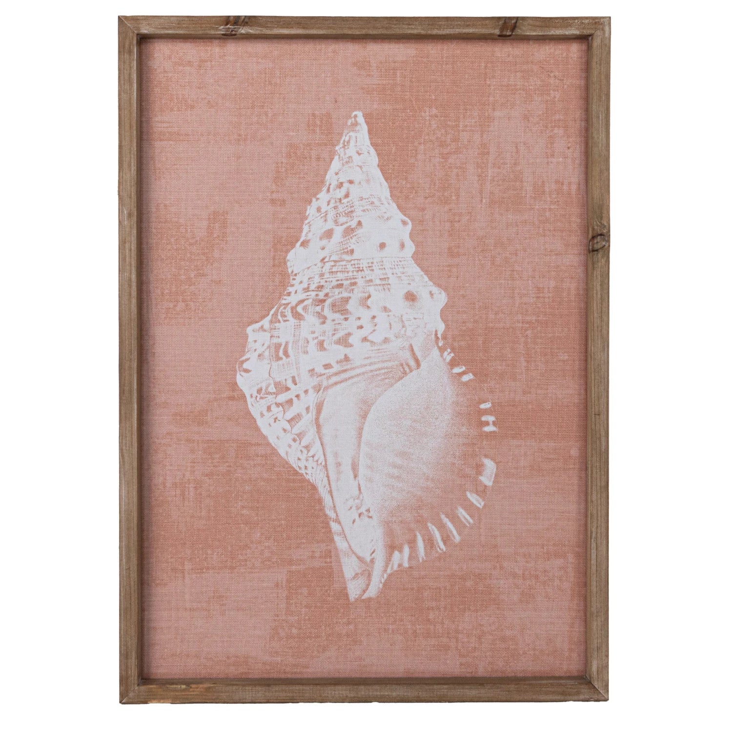 20x28 Inch Conch Shell Wall Art Decor - Coastal Beach Theme Home Decor for Living Room, Bedroom, Bathroom | Perfect for Nautical & Boho Style Interiors