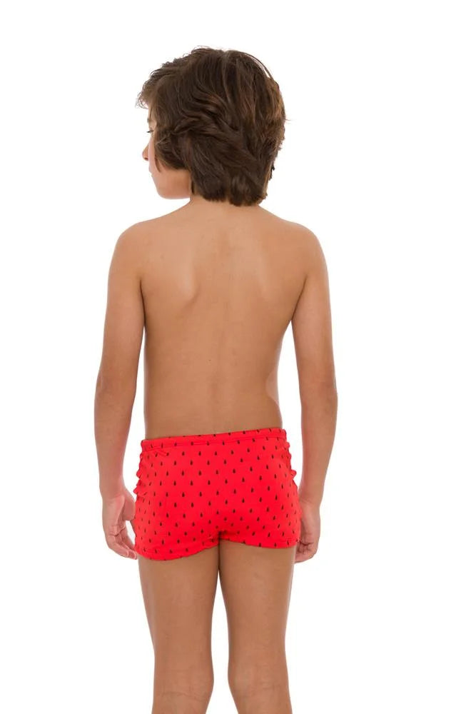 Red Watermelon Print Boys Swim Briefs - Comfortable & Quick-Dry Swimwear for Kids, Beach & Pool Fun