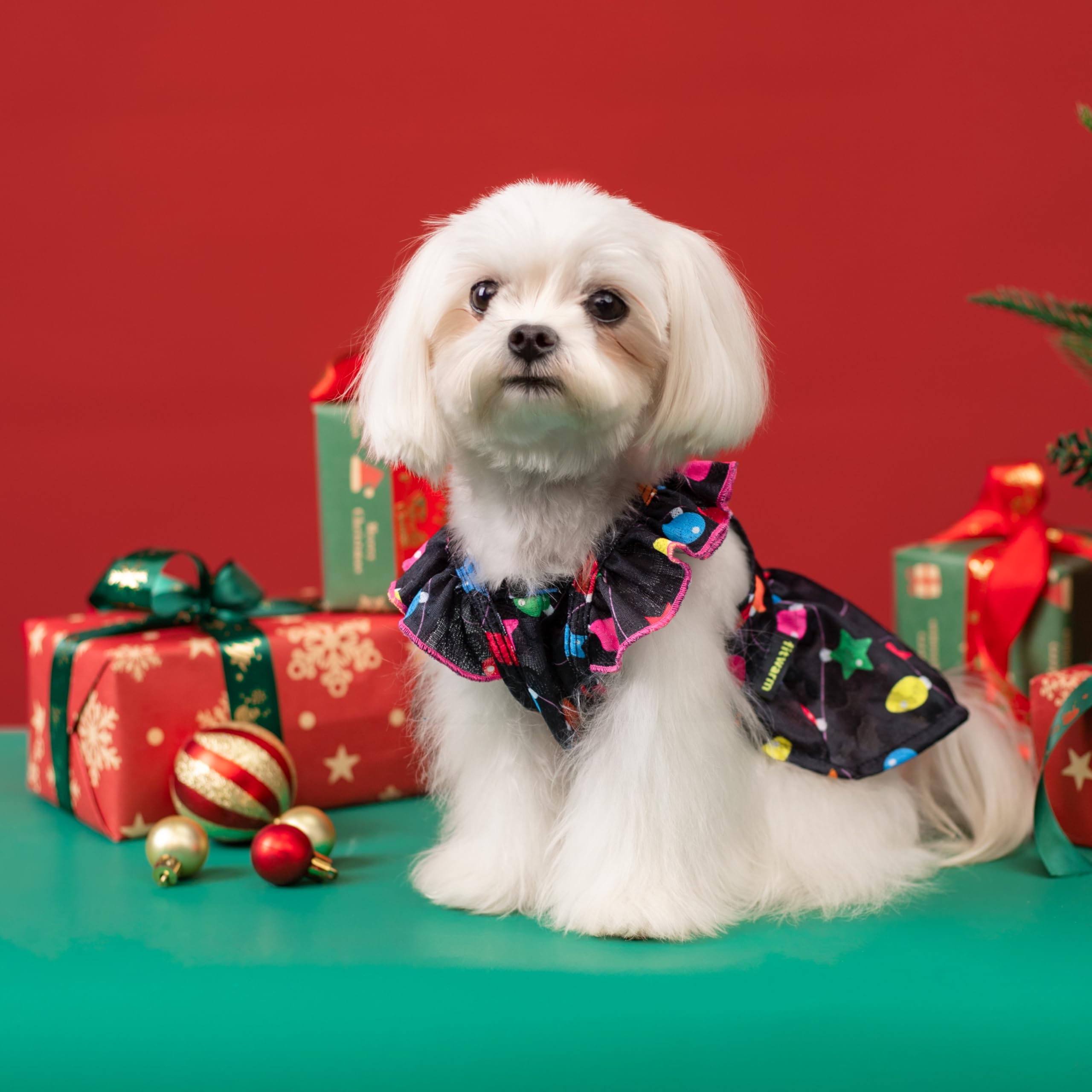 Fitwarm Christmas Light Dog Dress - Cute Holiday Pet Outfit for Small Dogs | Black, Pink, Red | Large Size | Perfect for Christmas Photos & Festive Gatherings