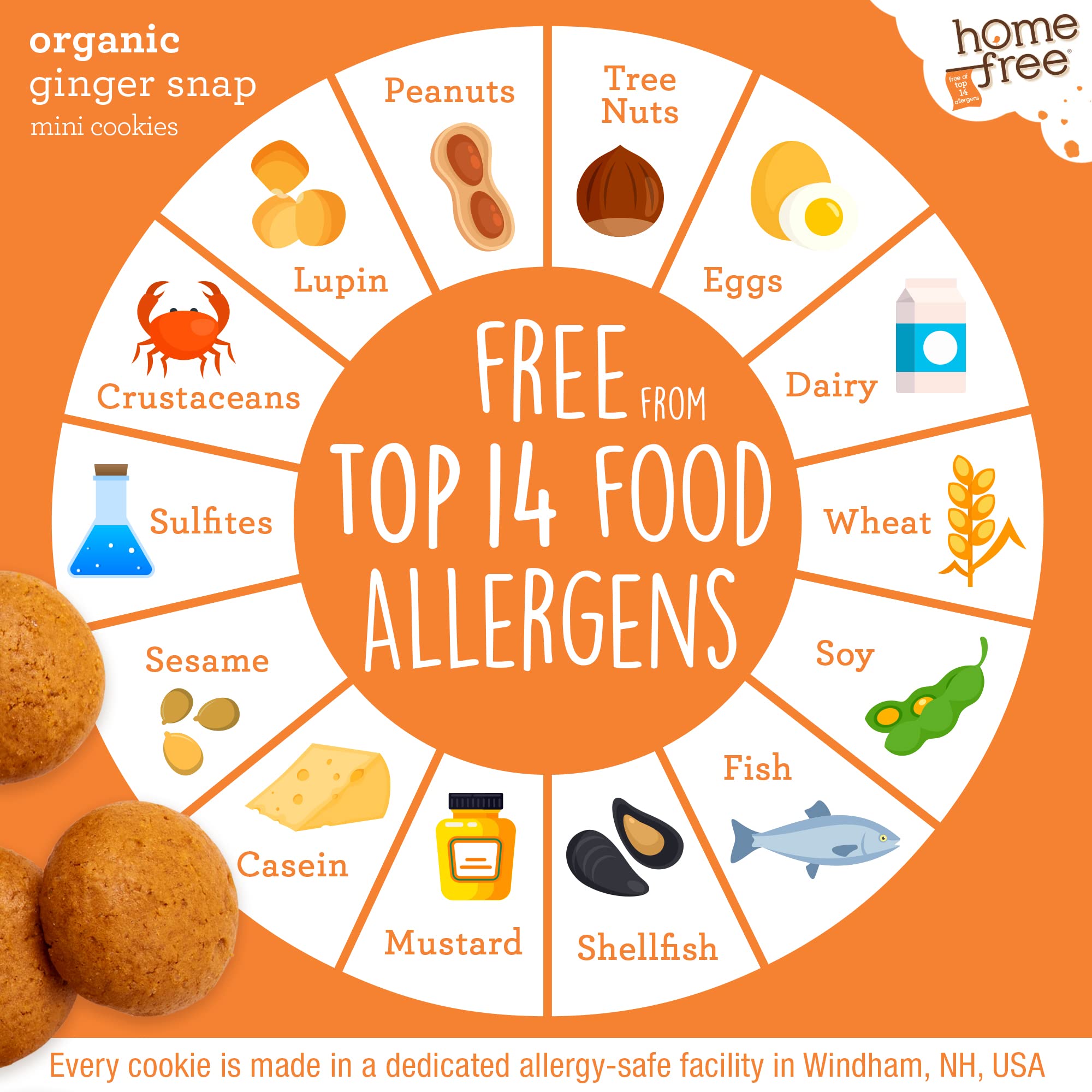Organic Mini Ginger Snap Cookies - Gluten Free, Nut Free, Vegan, School Safe Snack - Individually Wrapped 0.95 oz Packs (64 Count) - Perfect for Lunchboxes, Allergy-Friendly Treats & On-the-Go Snacking