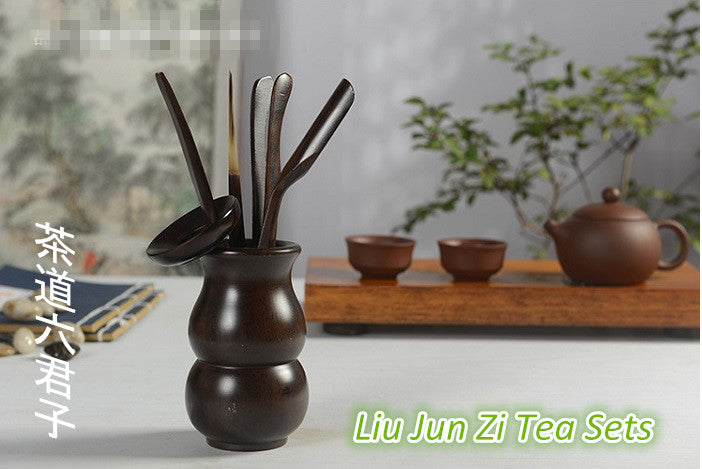 Premium Tea Brewing Accessories Set of 6 - Complete Tea Ceremony Tools (Tea Dao Liu Jun Zi) for Chinese & Japanese Tea Making - Perfect for Home, Office & Gift Giving