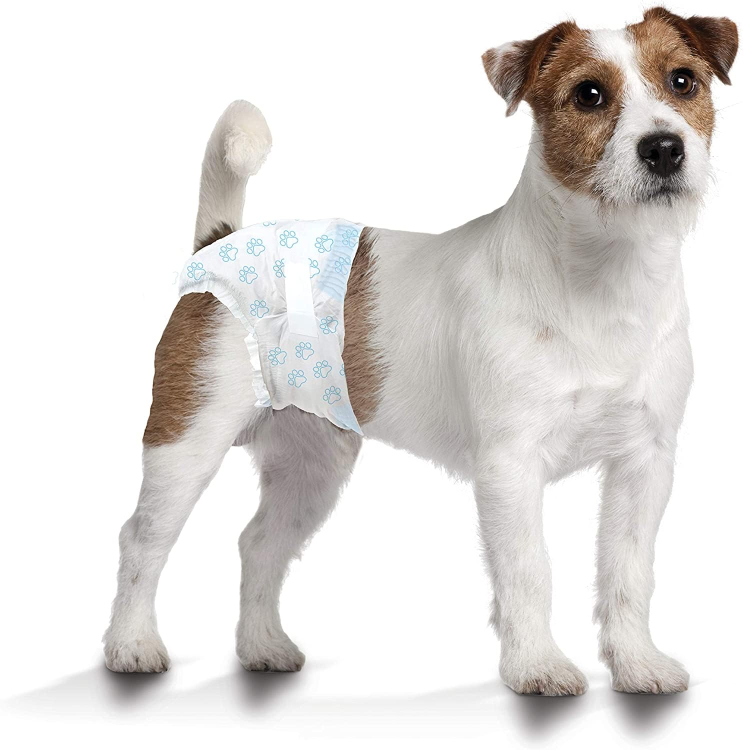 Four Paws Wee-Wee Super Absorbent Disposable Dog Diapers for Potty Training - Adjustable & Leak-Proof Puppy Pads for Small Dogs (12 Count) - Perfect for Housebreaking, Travel & Overnight Protection