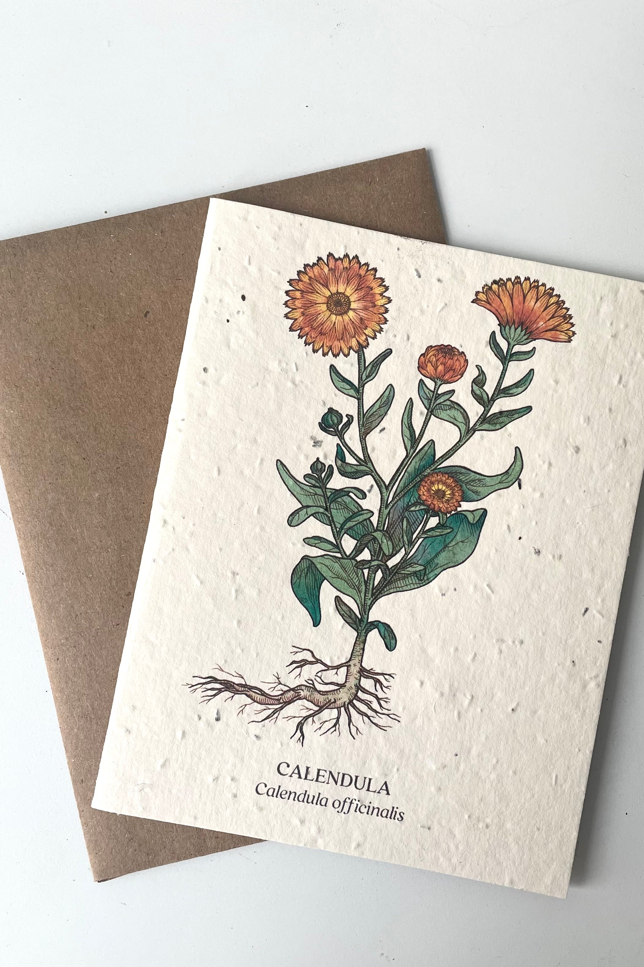 Eco-Friendly Calendula Seeded Greeting Card - Plantable Wildflower Gift for Birthdays, Weddings & Thank You Notes - Sustainable Stationery for Eco-Conscious Shoppers
