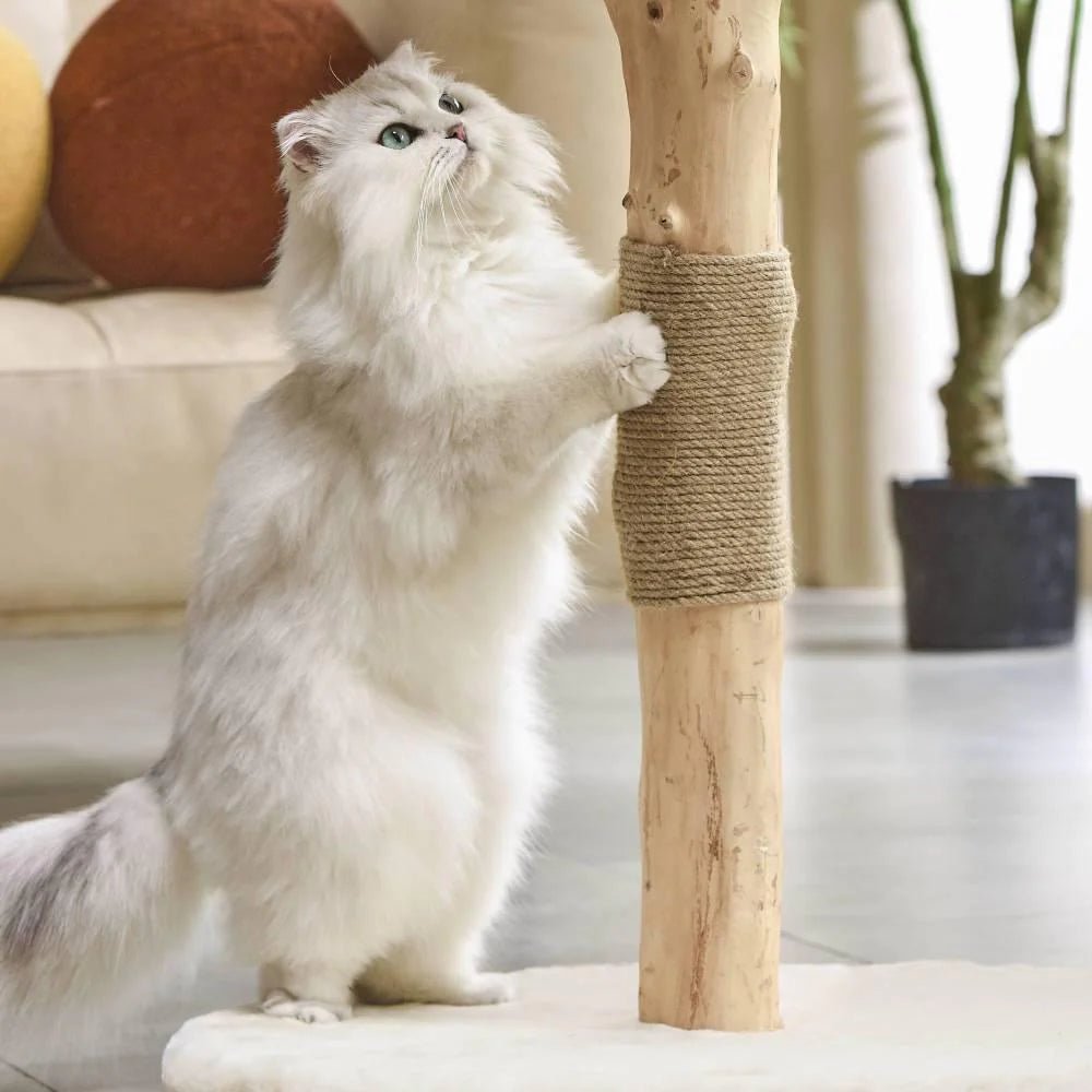 Premium Real Wood Cat Tree for Indoor Cats - Medium Size, Sturdy & Durable with Scratching Posts - Perfect for Play, Climbing & Relaxing in Home or Office