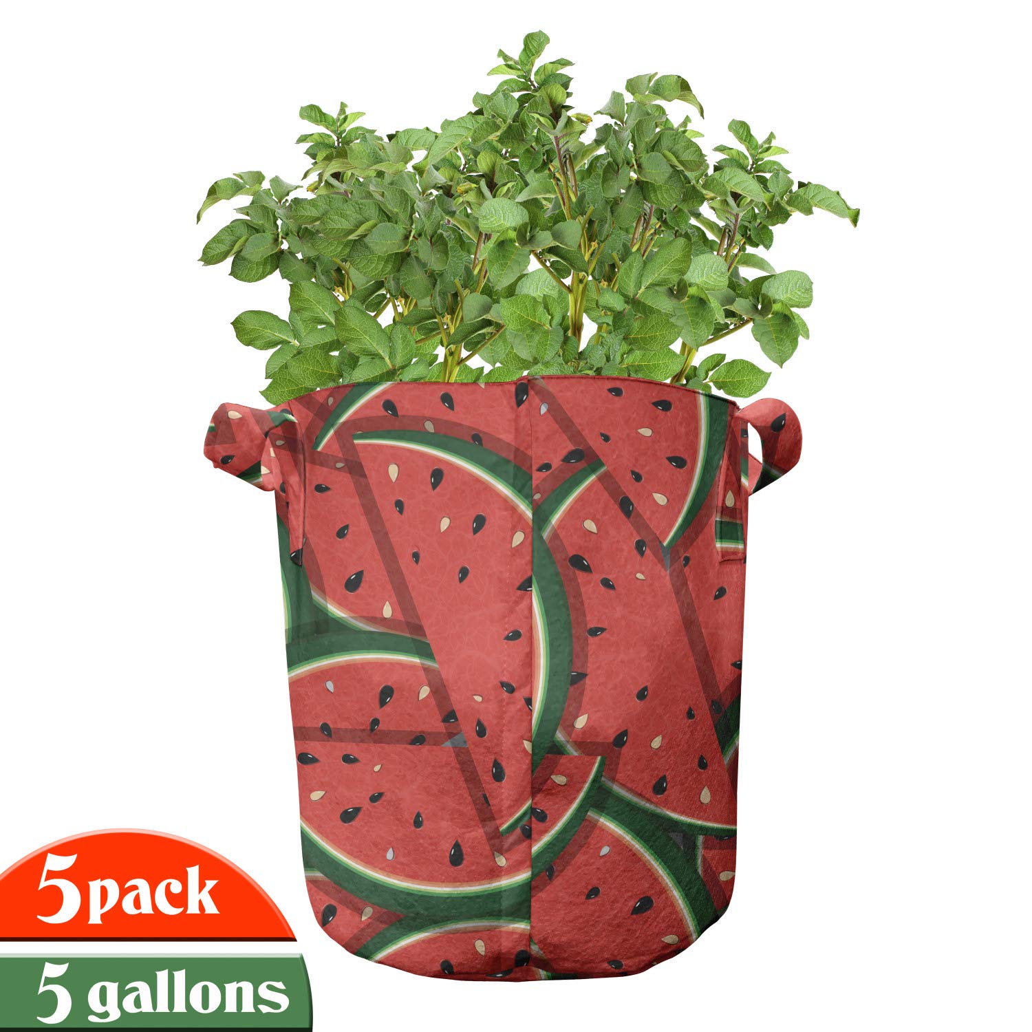 Ambesonne 5-Pack Heavy Duty Fabric Grow Bags with Handles - Watermelon Slice Print Plant Pots for Fruits, Vegetables & Herbs - Durable Hunter Green & Red Gardening Containers for Indoor/Outdoor Planting