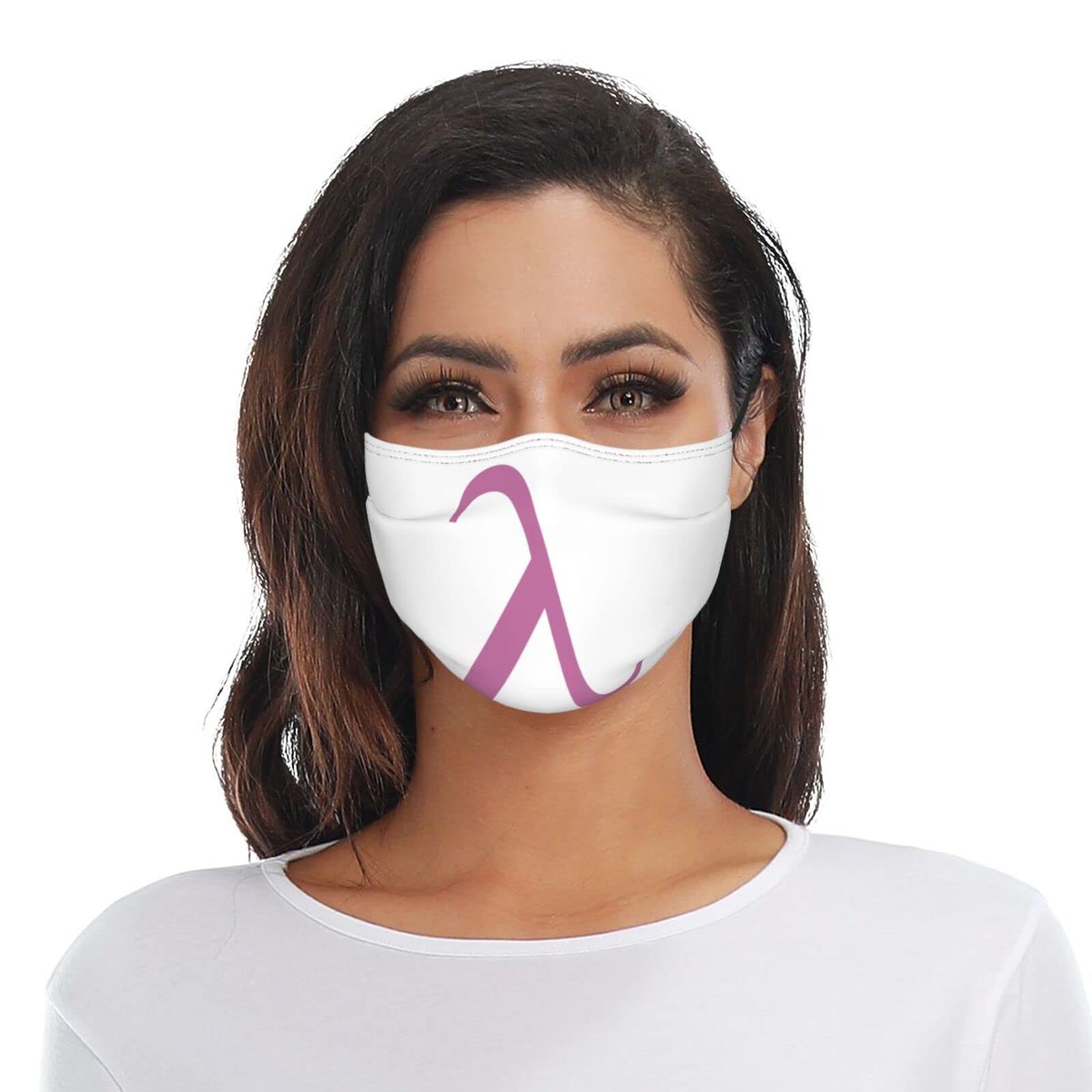Lambda Gay Pride Flag LGBTQ+ Face Mask - Washable, Reusable & Breathable with 2 Filters for Adults - Perfect for Pride Parades, LGBTQ+ Events & Daily Protection