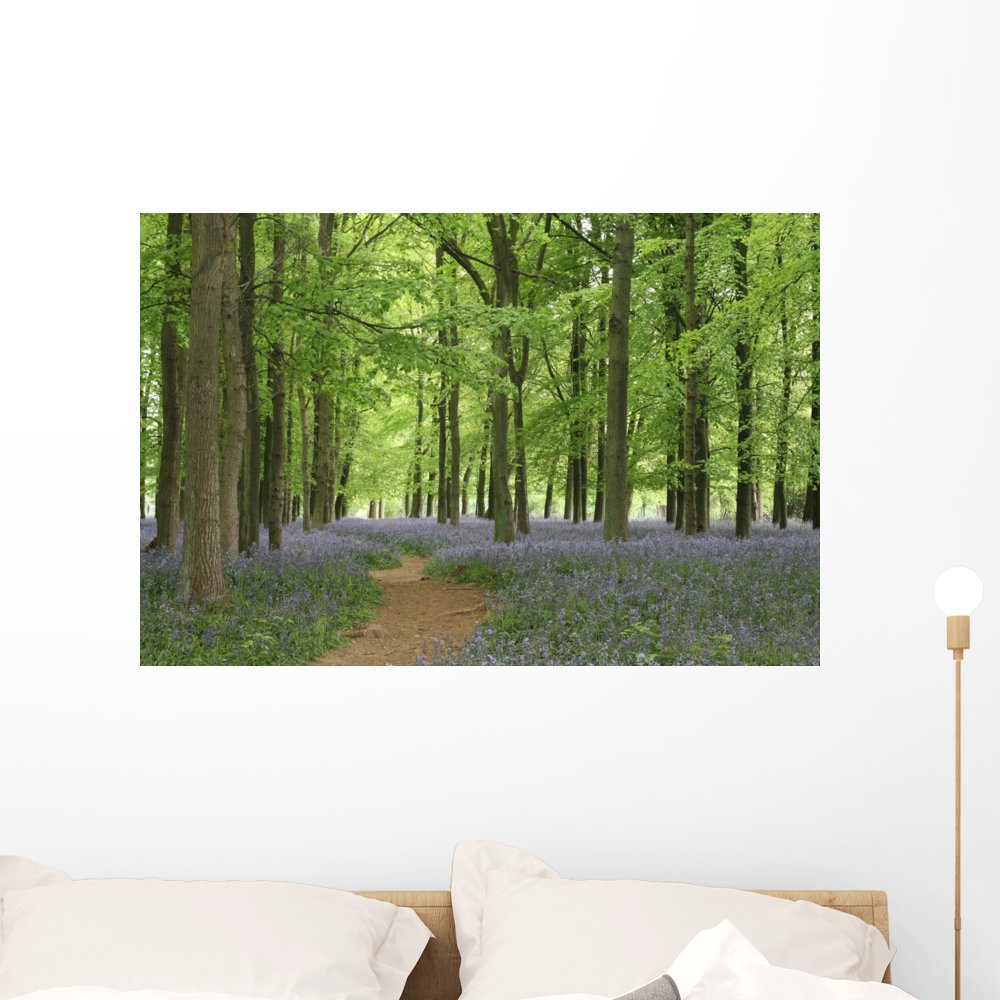 Bluebell Forest Peel and Stick Wall Decal - 36