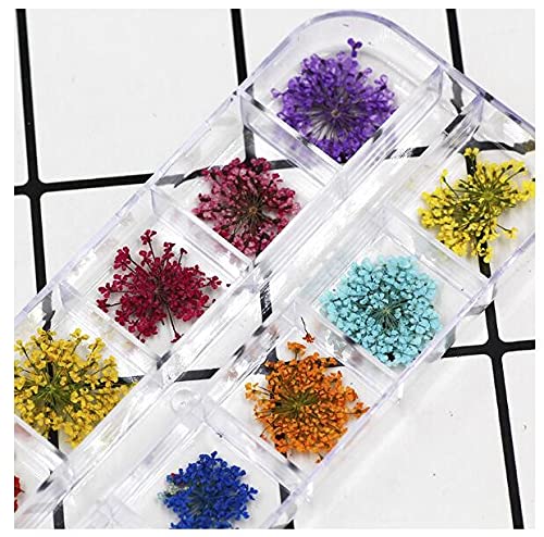 1 Box Dried Flowers & Fruit Slices for Nail Art - 3D Dry Flower Nail Stickers, Colorful Natural Real Flower Nail Decals, Fimo Fruit Slices Charms - DIY Nail Art Supplies & Slime Accessories for Manicure, Pedicure, Scrapbooking & Craft Projects