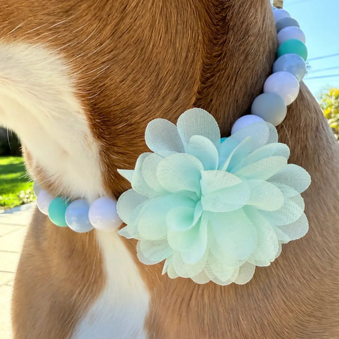 Breezy Blooms Beaded Pet Collar for Dogs & Cats - Adjustable Crystal Rhinestone Dog Collar with Flowers - Perfect for Small Medium Pets, Wedding, Party & Photo Shoots