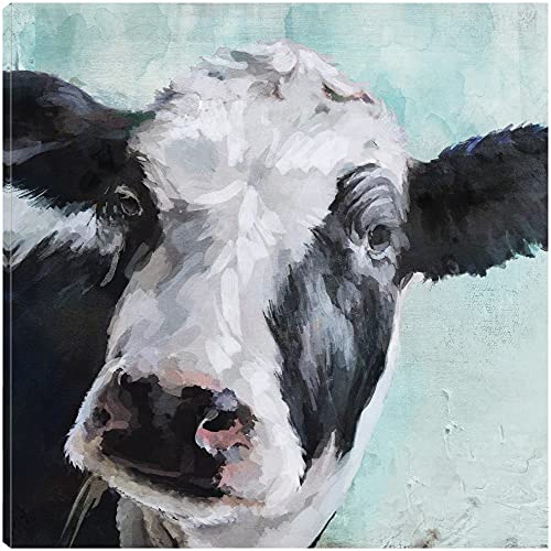 Black and white Cow