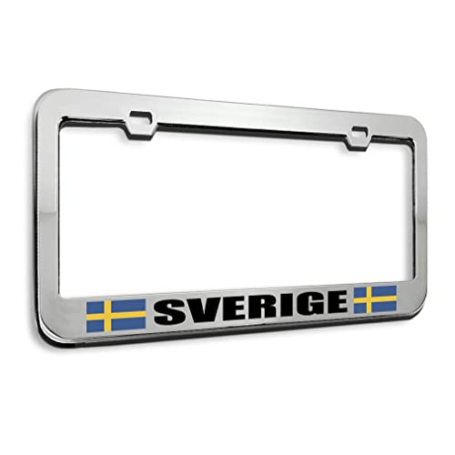Stainless Steel 2 Holes