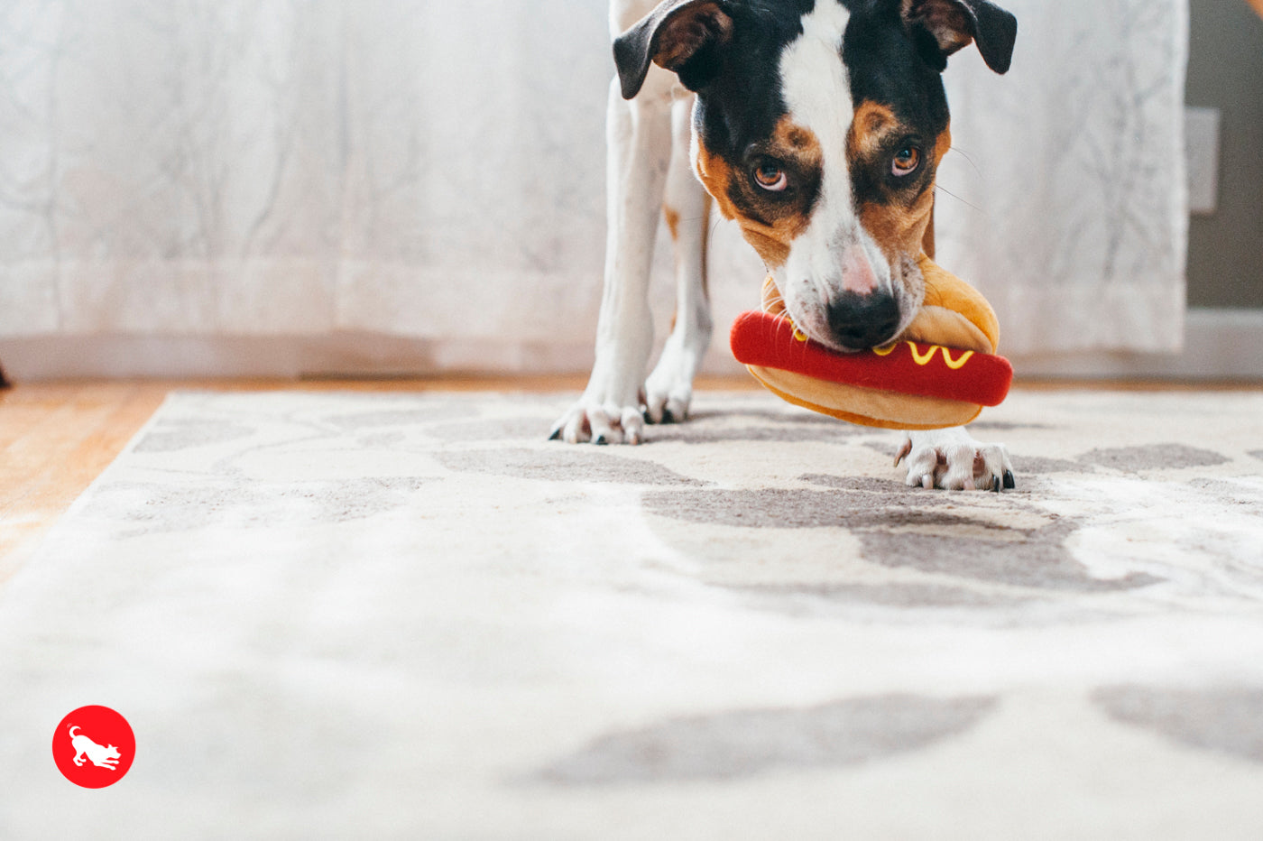 American Classic® Hot Dog Plush Dog Toy by Pet P.L.A.Y. - Durable Chew Toy for Small & Large Dogs - Perfect for Fetch, Tug-of-War & Cuddling