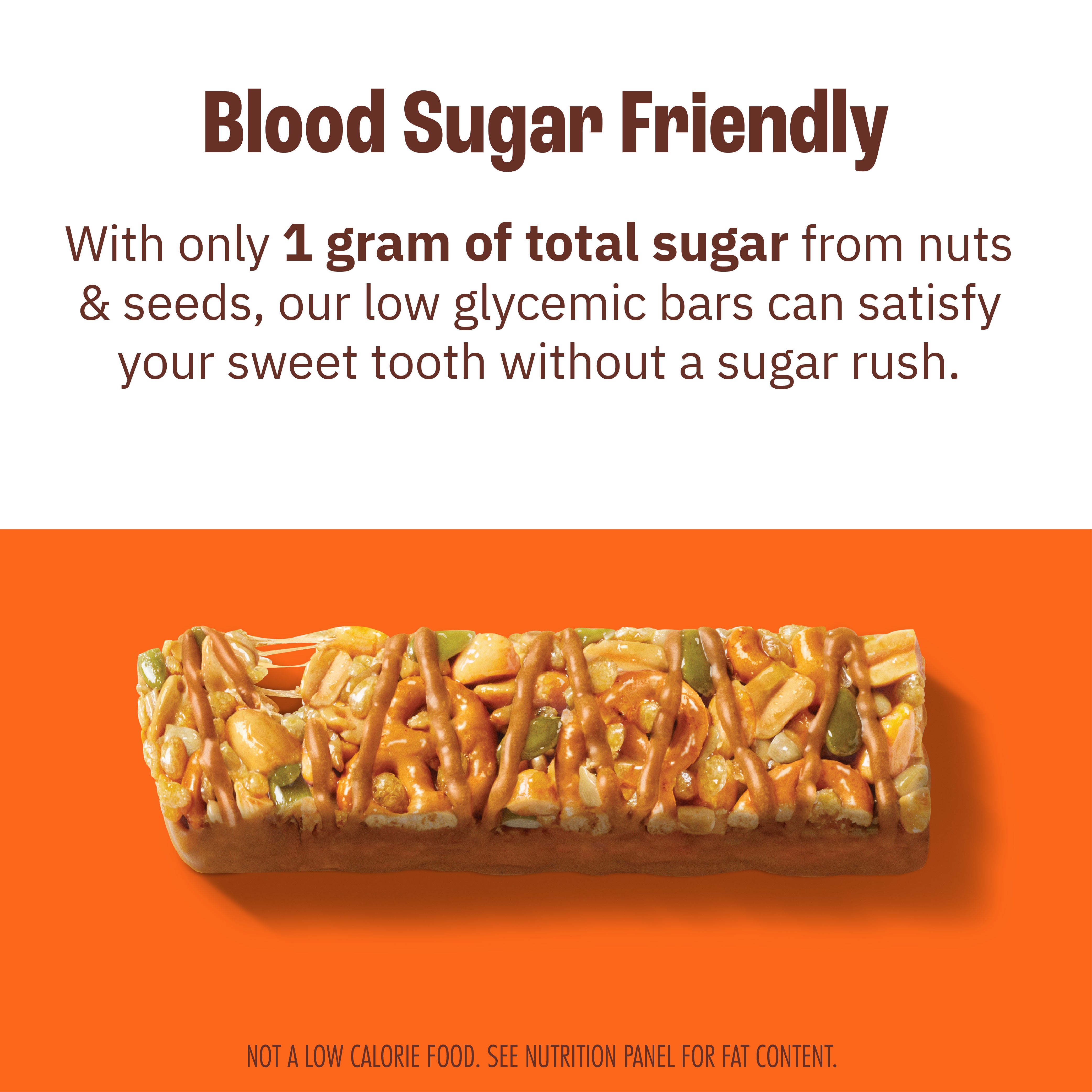 Crunchy Peanut Butter Pretzel Nut & Seed Bar - 12 Pack | High Protein Snack for Hiking, Travel & On-the-Go Energy Boost