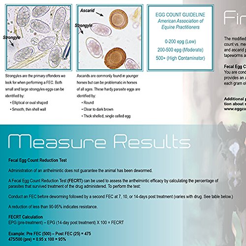 Eggzamin Professional Microscope Kit for Fecal Egg Count - Binocular Microscope with Accessories for Livestock Parasite Testing | Includes Step-by-Step Guide | Ideal for Farmers, Veterinarians & Animal Health Monitoring