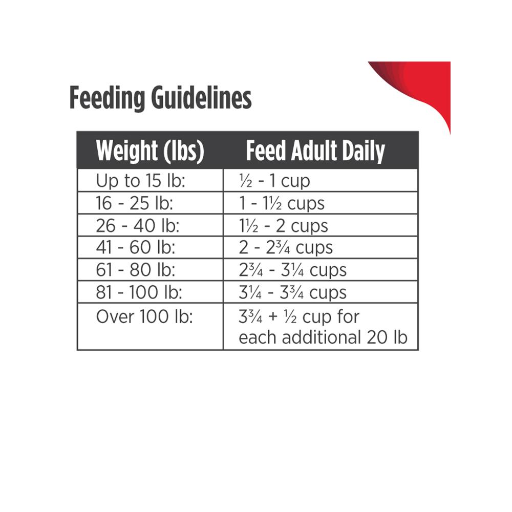 Premium FrontRunner Adult Beef, Barley & Lamb Dry Dog Food - High Protein Grain-Inclusive Kibble for Active Dogs - Perfect for Daily Meals & Outdoor Adventures