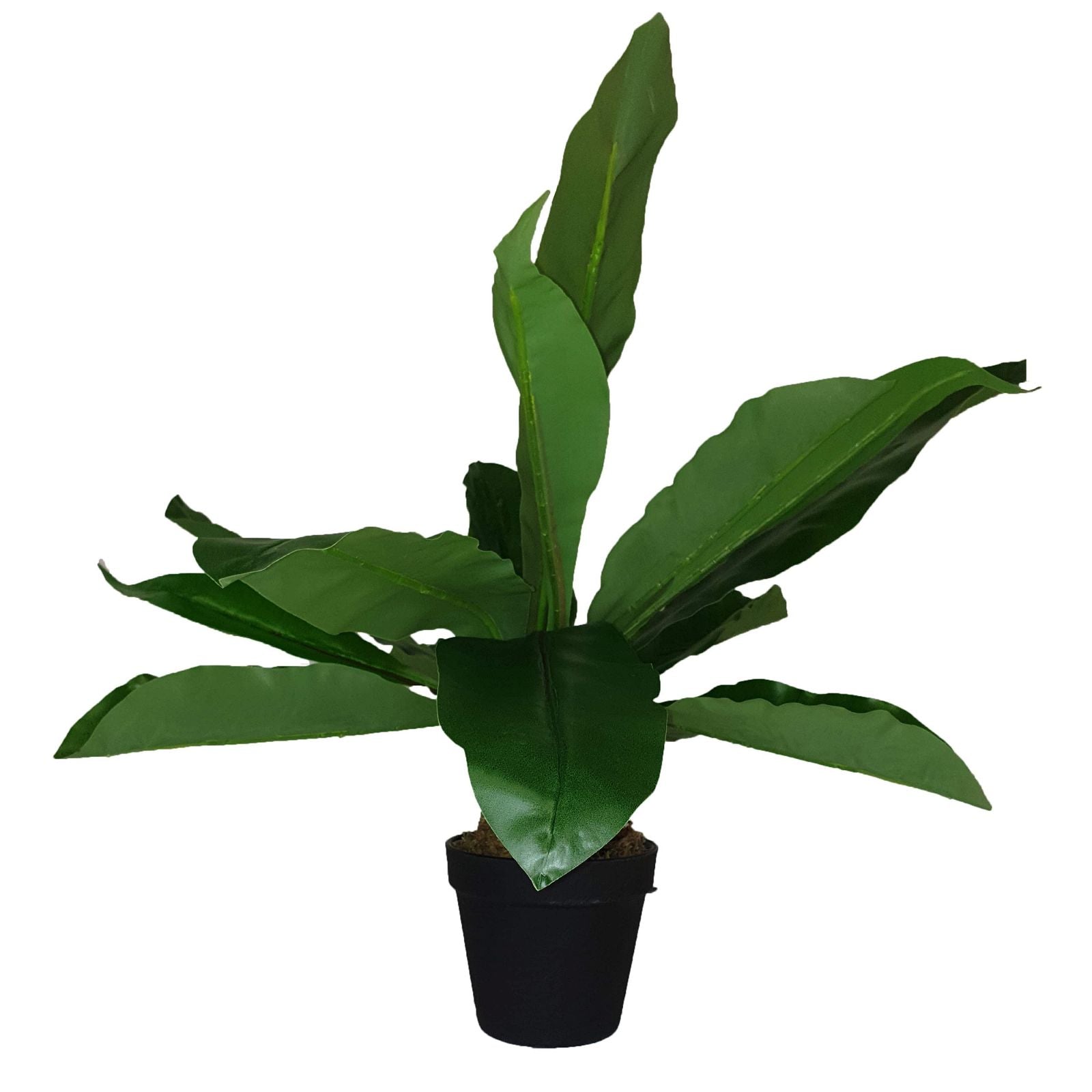 43cm Broad Leaf Artificial Plant by Criterion - Perfect for Home Office Decor, Living Room Greenery & Indoor Plant Styling
