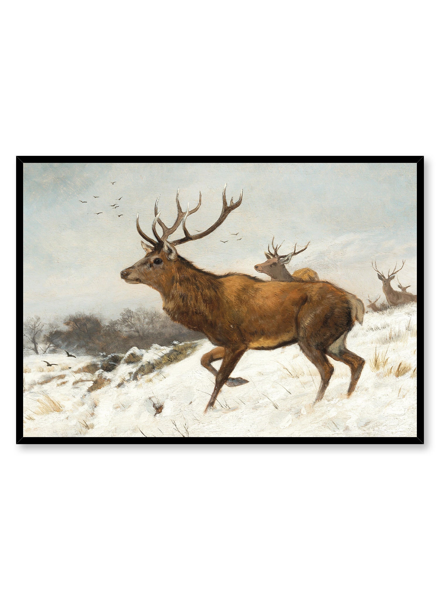 Oh Deer One Poster - Vintage Deer Wall Art Print for Home & Office Decor - Perfect for Living Room, Bedroom, or Gift