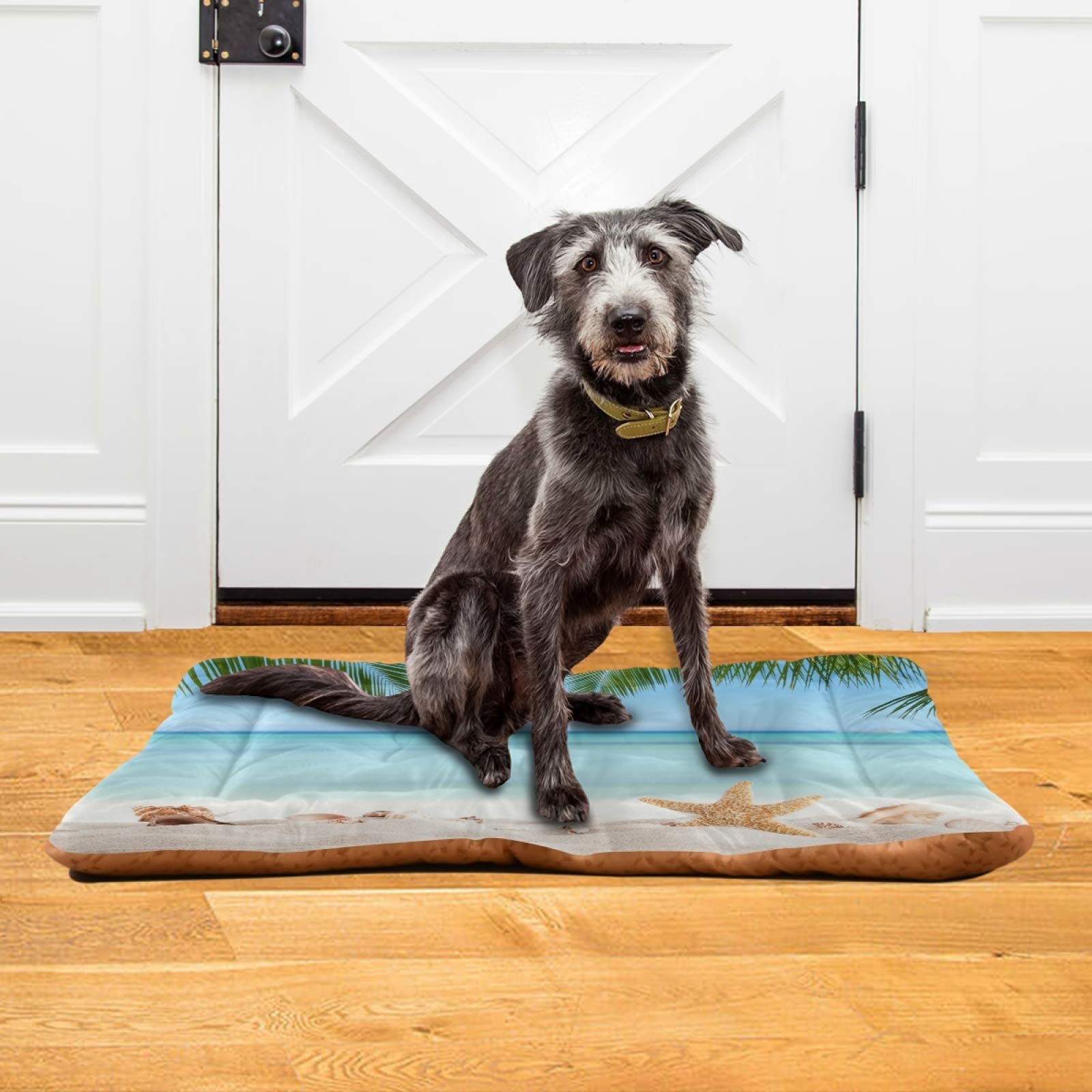 Ultra Soft Summer Beach Dog Bed for Small Medium Large Dogs - Rectangle Comfortable Pet Bed with Calming Design, 36x24 Inch - Perfect for Indoor/Outdoor Use, Beach Trips & Cozy Napping