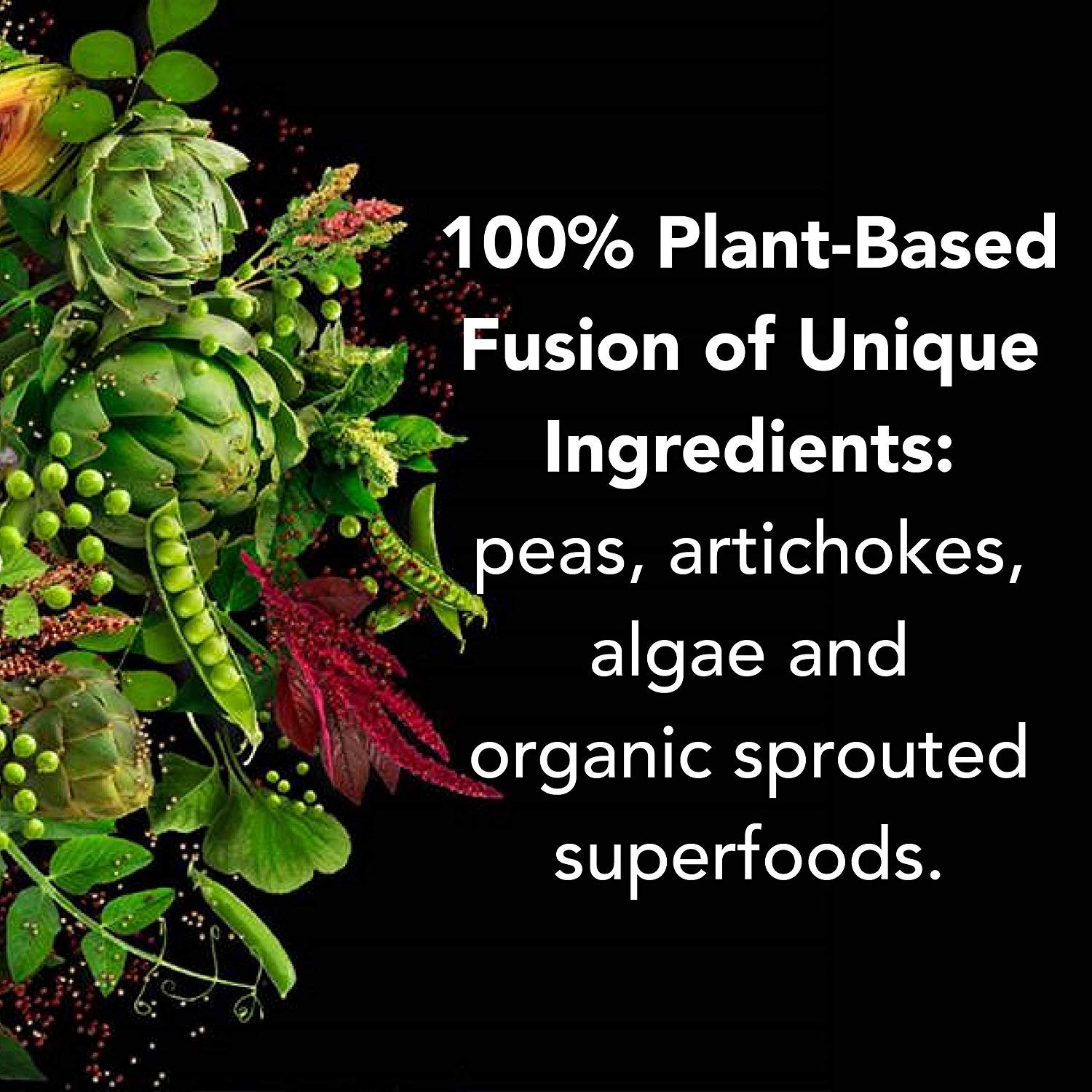 PlantFusion Complete Vegan Protein Powder - Plant-Based Protein with BCAAs, Digestive Enzymes & Pea Protein - Keto, Gluten-Free, Soy-Free, Dairy-Free, Sugar-Free, Non-GMO - Chocolate Flavor 2lb for Post-Workout Recovery & Meal Replacement