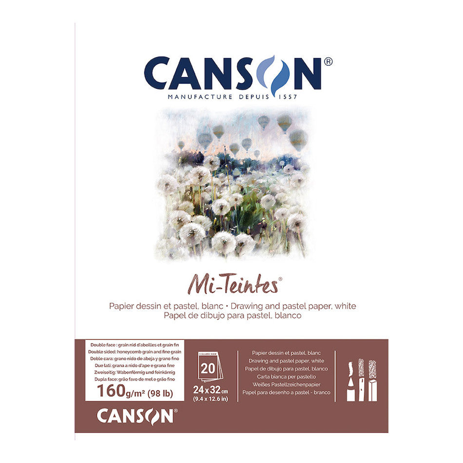 Canson Mi-Teintes Drawing Paper Pad 24x32 Inches - 10 Sheets, 160 gsm, Acid-Free, Assorted Colors - Perfect for Pastels, Charcoal, and Mixed Media Art Projects