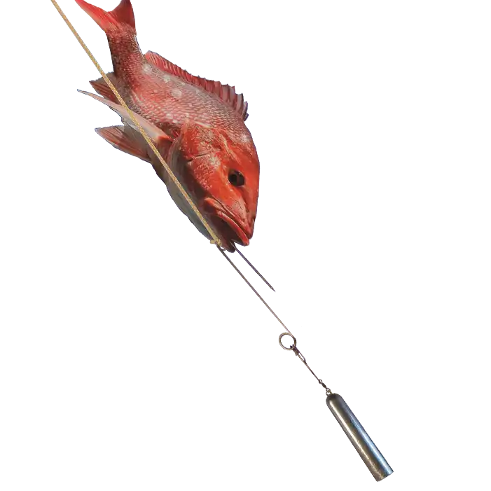 Hi Liner Fish Saver Descending Device - Fishing Gear for Catch and Release | Saltwater & Freshwater Fishing Accessories | Perfect for Deep Water Anglers