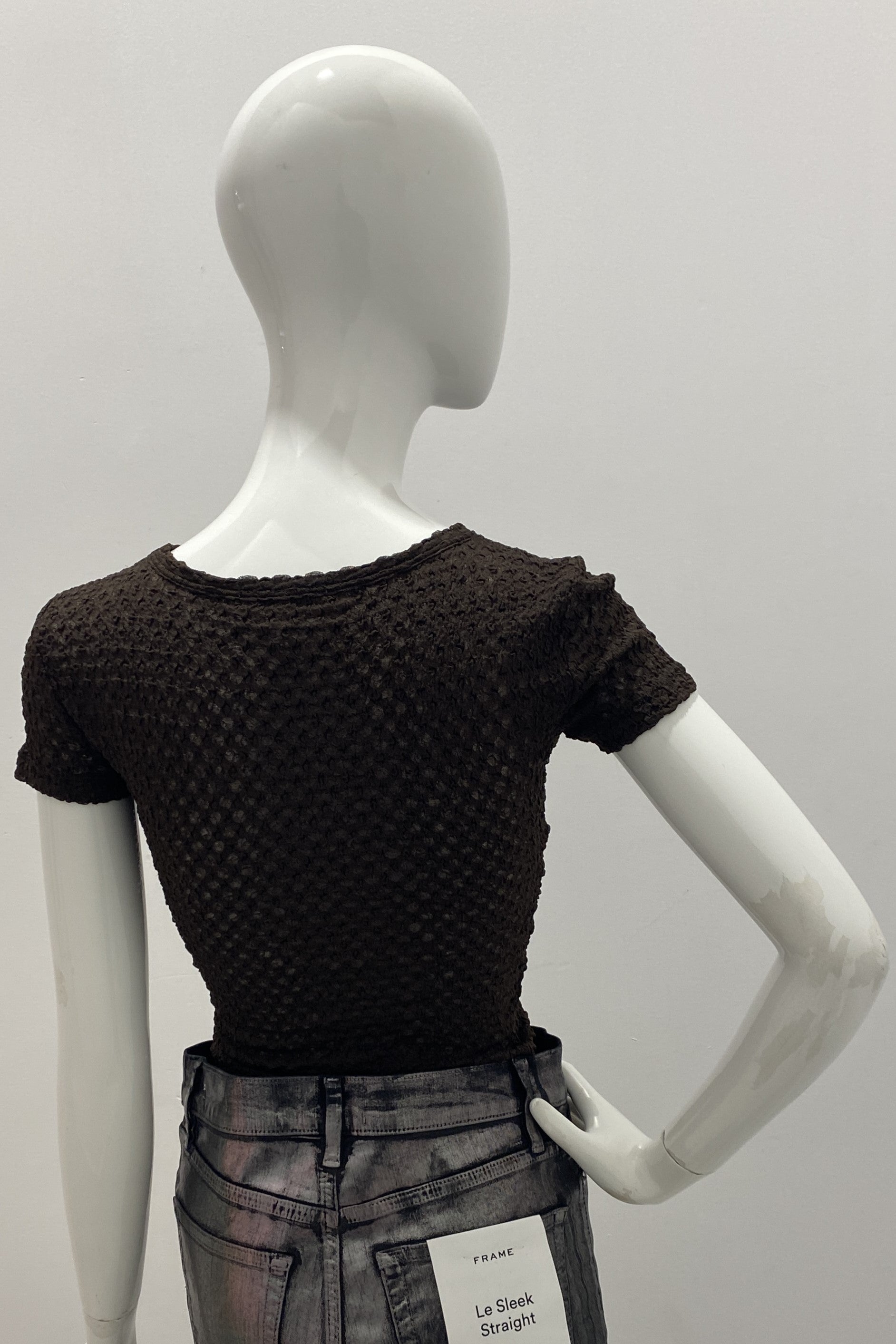 Frame Mesh Lace Baby Tee - Soft Stretchy Women's Cropped T-Shirt | Trendy Streetwear & Summer Outfit Essential