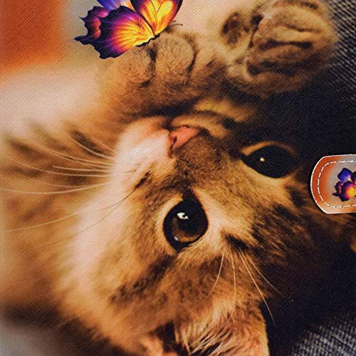 Cute Cat