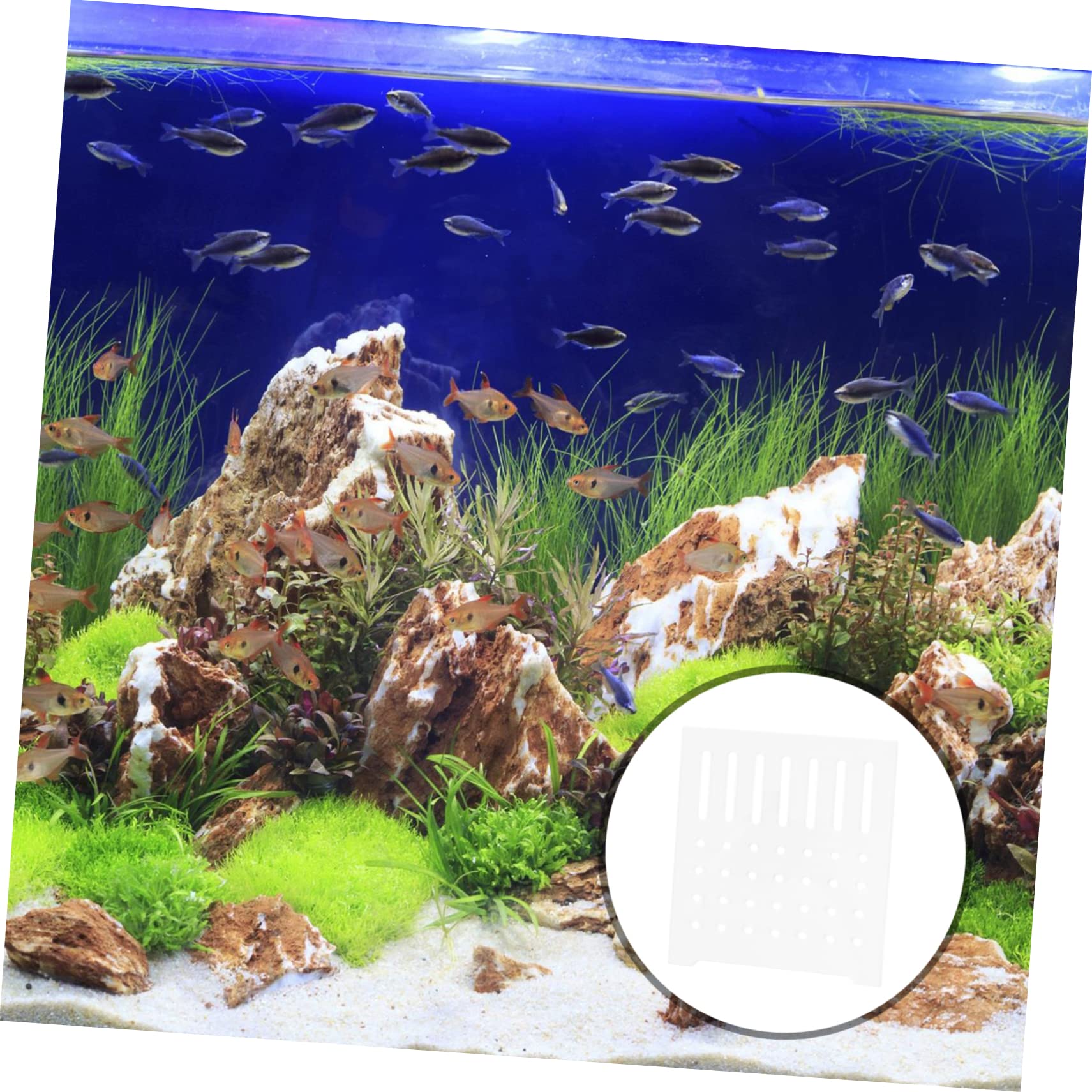 Acrylic Fish Tank Protein Separator & Isolation Board - Clear Partition Cups for Aquarium Design | Perfect for Saltwater & Freshwater Tanks, Reef Tanks, and Aquatic Plant Displays