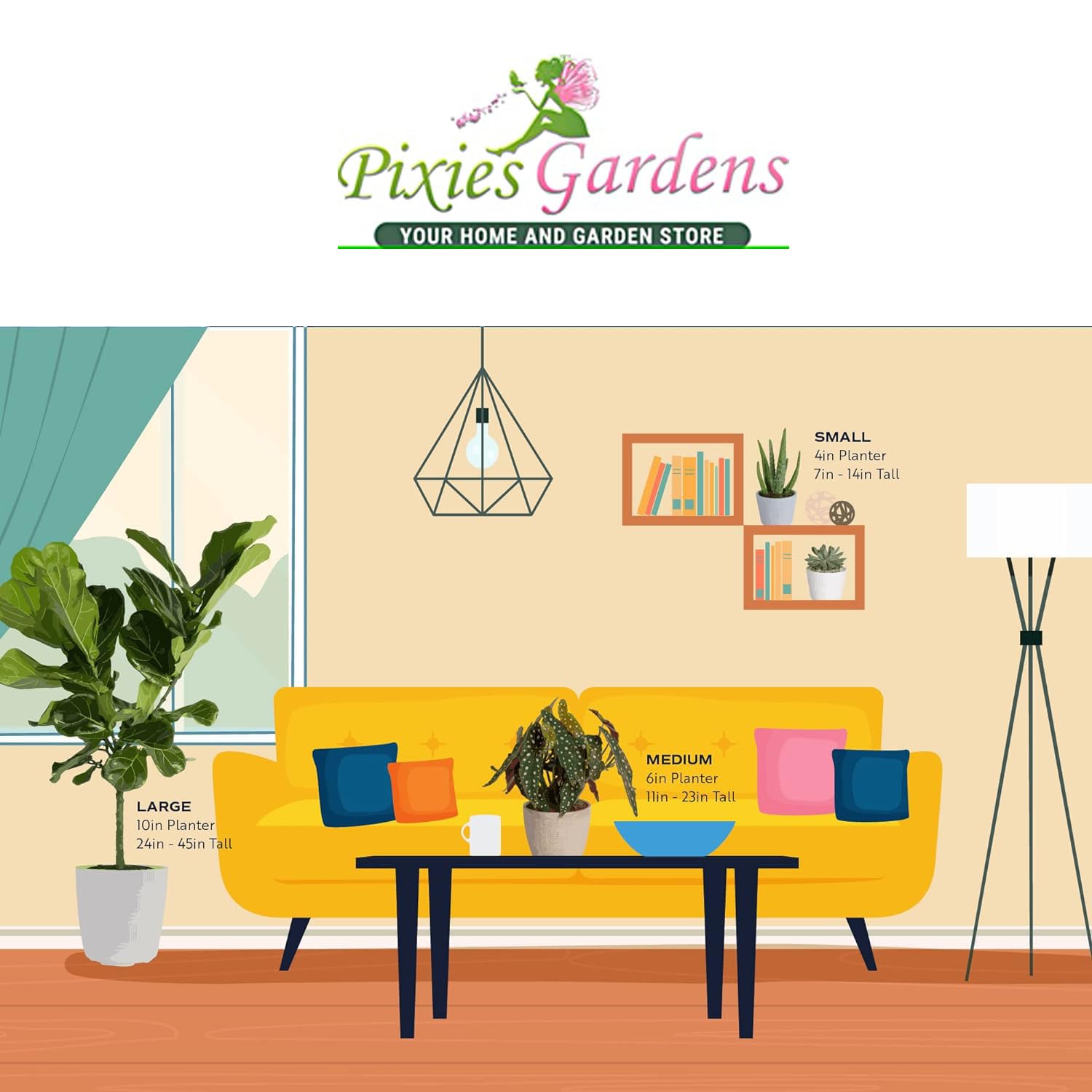 Pixies Gardens Concord Seedless Grape Plant - 1 Gallon Potted | Blue-Black Grapes for Jellies, Juices & Wine Making | Sweet White, Red & Rose Wines | Home Garden Fruit Growing | Perfect for Backyard Vineyards & Fresh Snacking