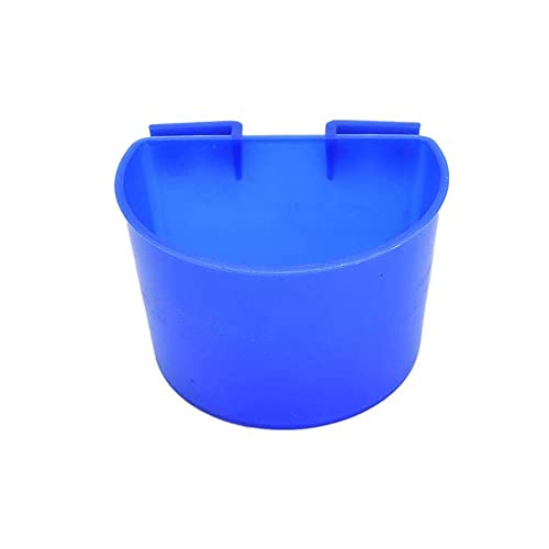 Blue 12 packs