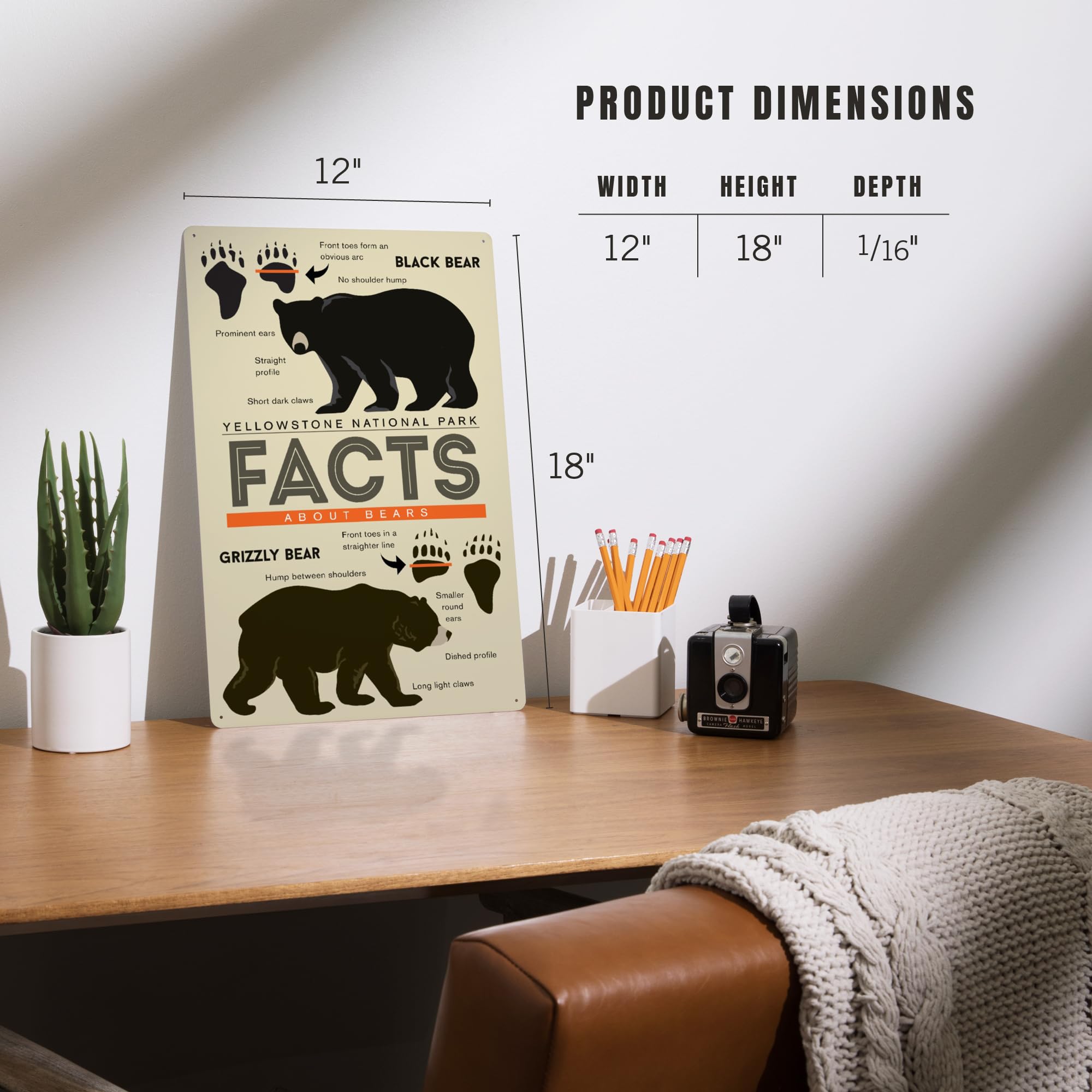 Lantern Press 12x18 Inch Yellowstone National Park Metal Sign - Wyoming Bear Facts Wall Decor for Grizzly & Black Bear Lovers - Perfect for Home, Office, or Cabin Decor