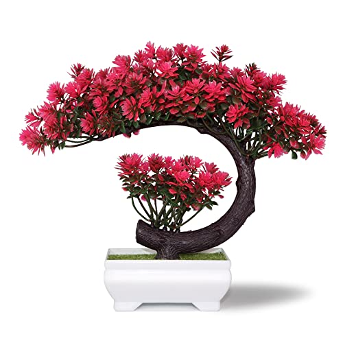 Magenta