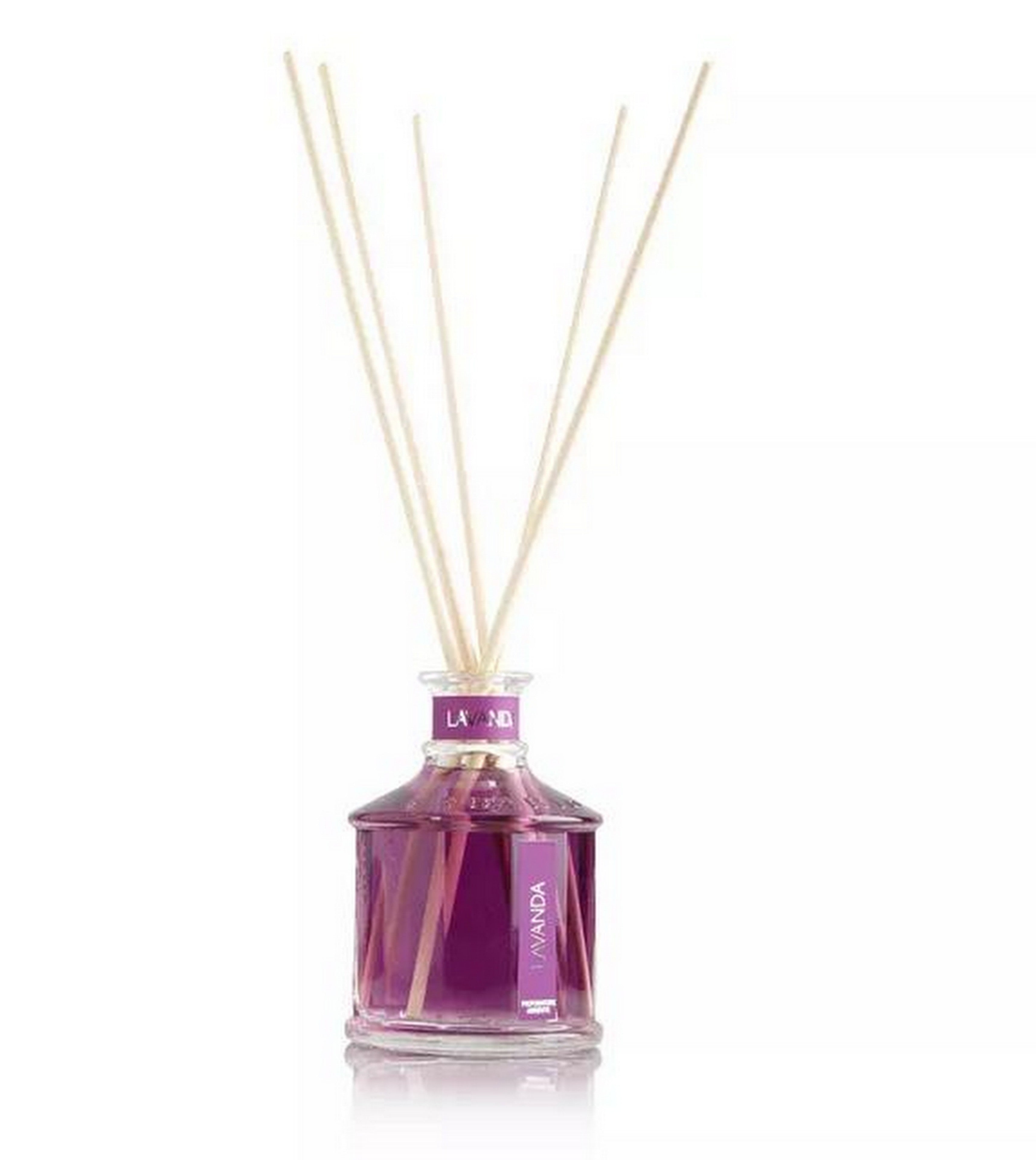 Erbario Toscano Bacche Di Tuscia 100ml Home Fragrance Diffuser - Premium Italian Aromatherapy Essential Oil Reed Diffuser for Living Room, Bedroom & Office Decor