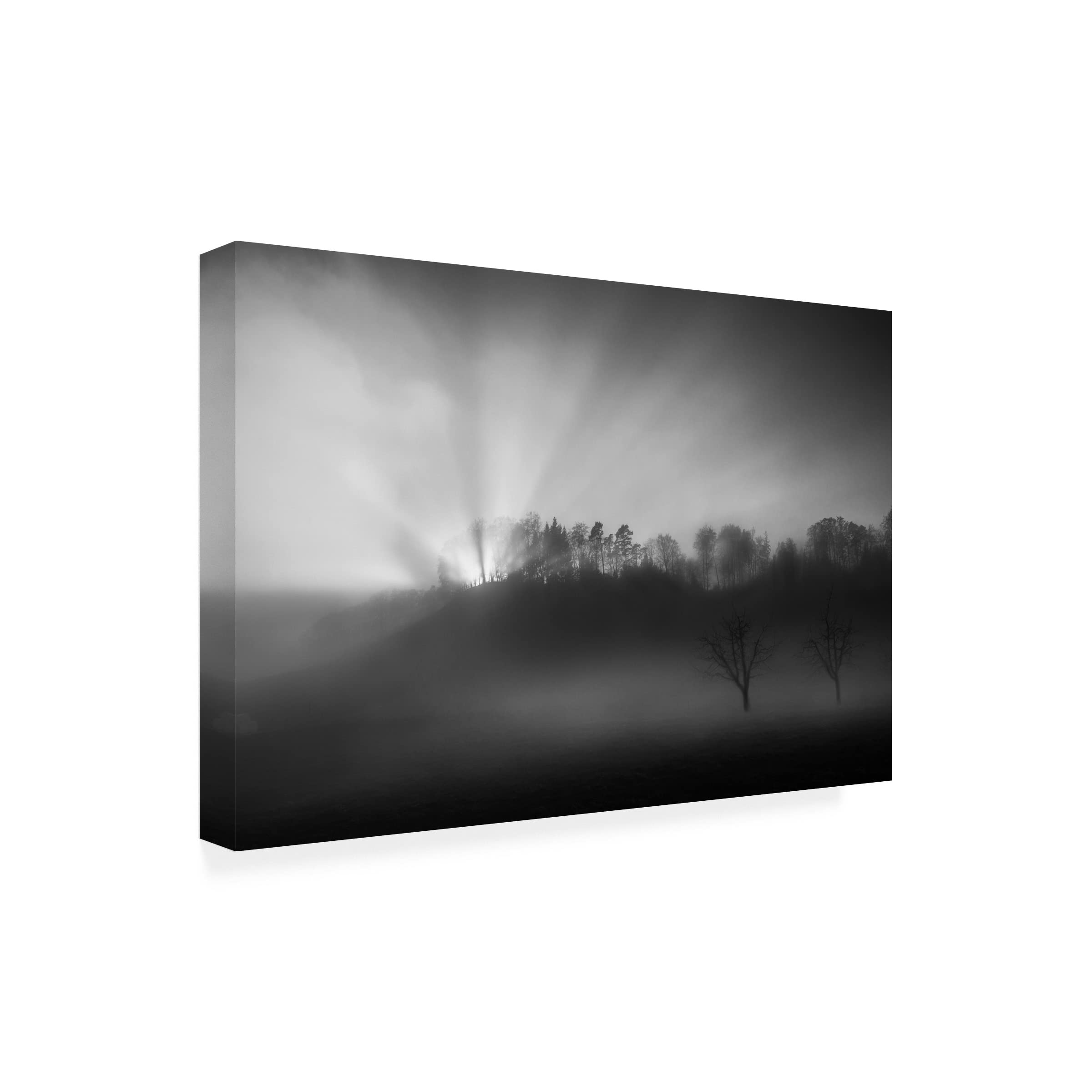Trademark Fine Art 'The Sun In The Fog' Canvas Wall Art Print by Nic Keller - Perfect for Living Room, Bedroom & Office Decor