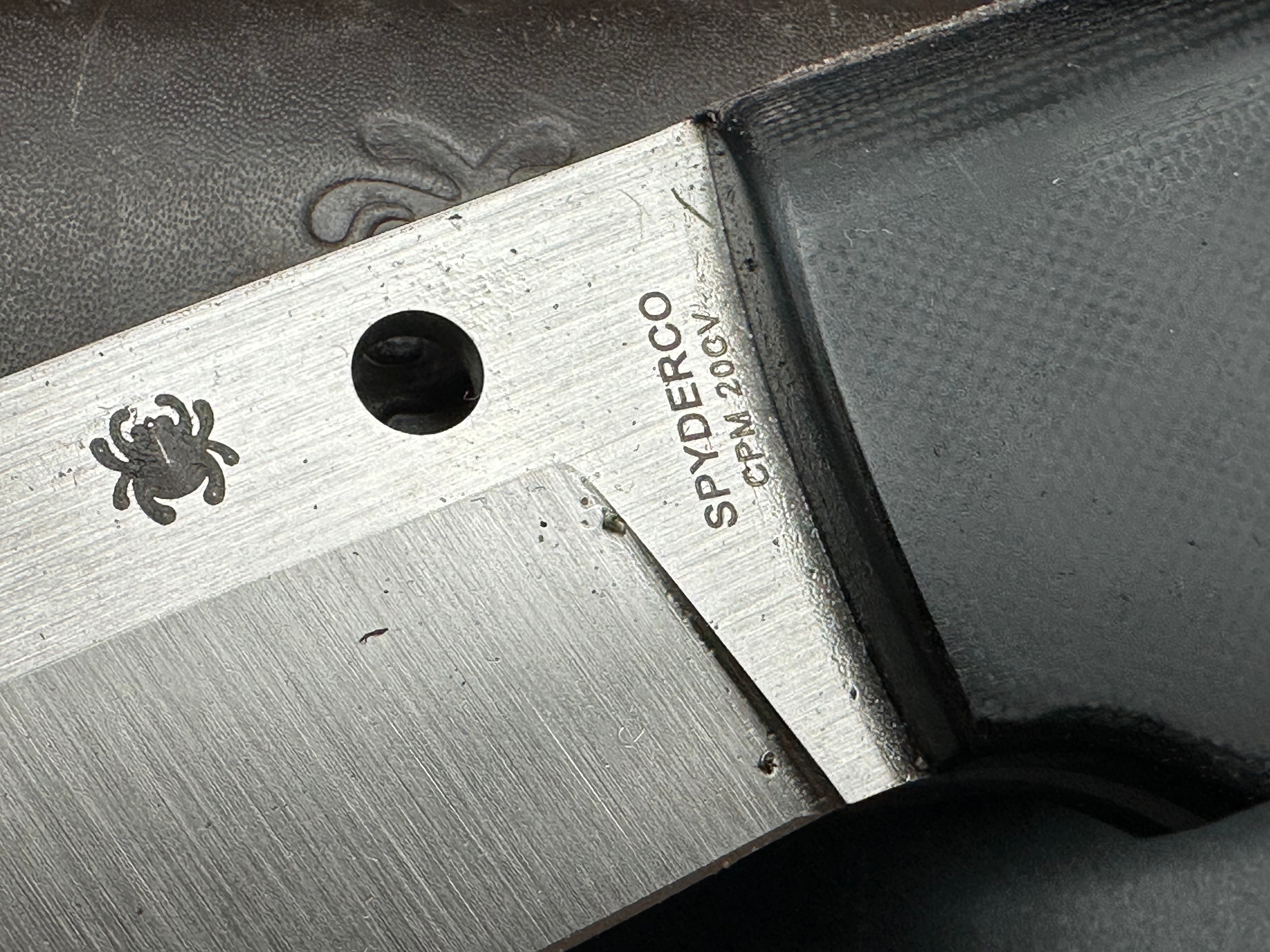 Spyderco Sustain Fixed Blade Knife - 20CV Steel Blade - Hunting, Camping & Outdoor Survival Gear
