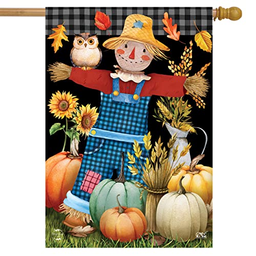 21 - Scarecrow