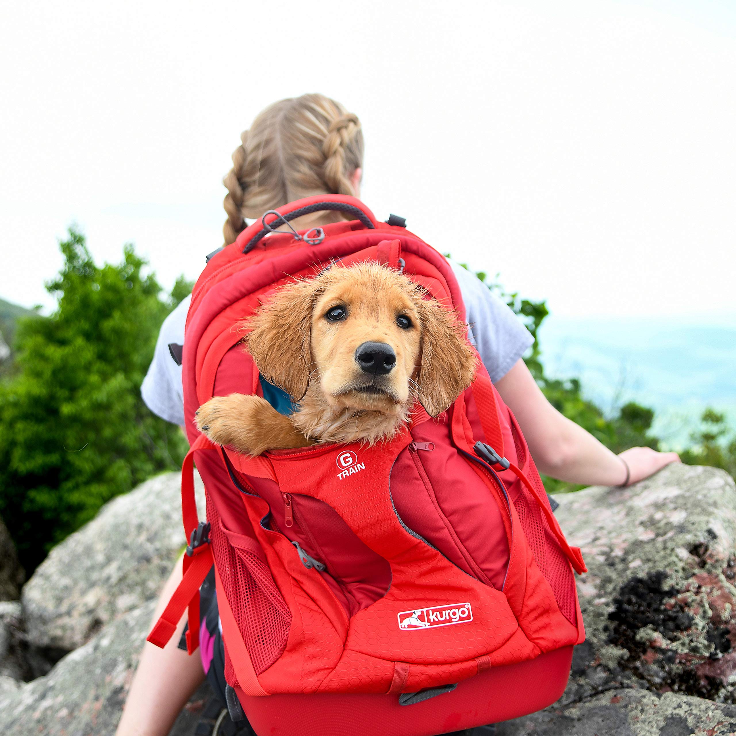 Kurgo G-Train Dog Carrier Backpack for Small Pets - Waterproof Travel Backpack for Cats & Dogs - Perfect for Hiking, Camping, Airplane & Outdoor Adventures - Red