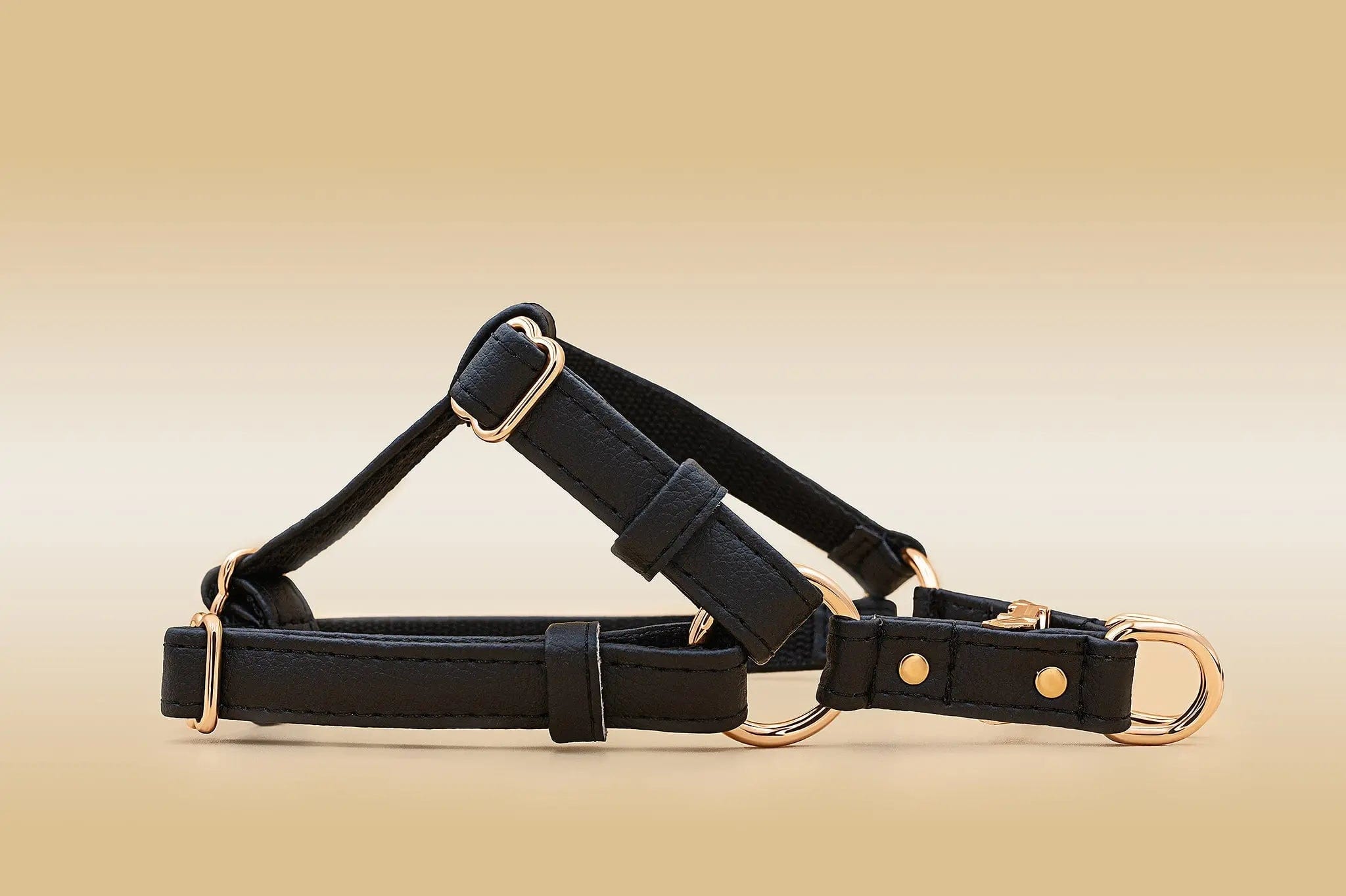 Anatomically Correct Piñatex® Vegan Leather Dog Harness - Eco-Friendly, Cruelty-Free Pet Accessory for Small & Medium Dogs | Black Paradise | Perfect for Walking, Training & Outdoor Adventures
