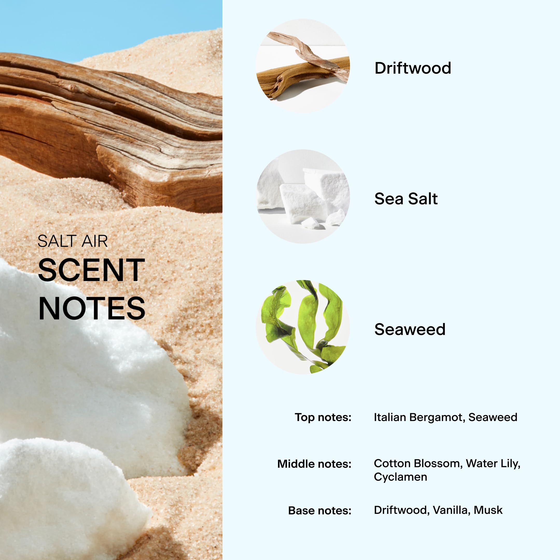 Skylar The Summer I Turned Pretty Salt Air Eau de Parfum - Hypoallergenic Vegan Perfume for Women & Men | Clean Fragrance with Driftwood & Seaweed Notes | Sensitive Skin Safe | Perfect for Beach Days, Summer Vacations & Everyday Freshness
