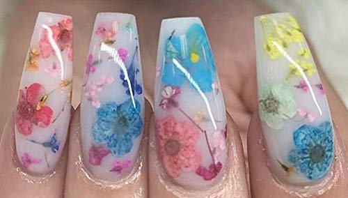 SHEBA NAILS Milk Bath Flower Acrylic Nail Art Kit - Professional DIY Manicure Set for Salon-Quality Nails at Home, Perfect for Parties, Weddings & Special Occasions