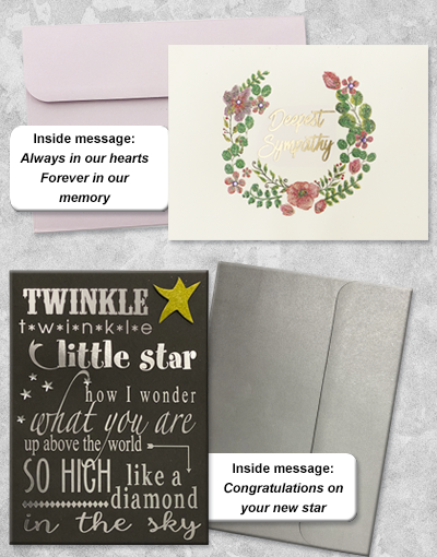 All Occasion Greeting Cards - Birthday, Anniversary, Thank You & Holiday Cards Collection for Every Celebration | Perfect for Gifts, Parties & Special Events