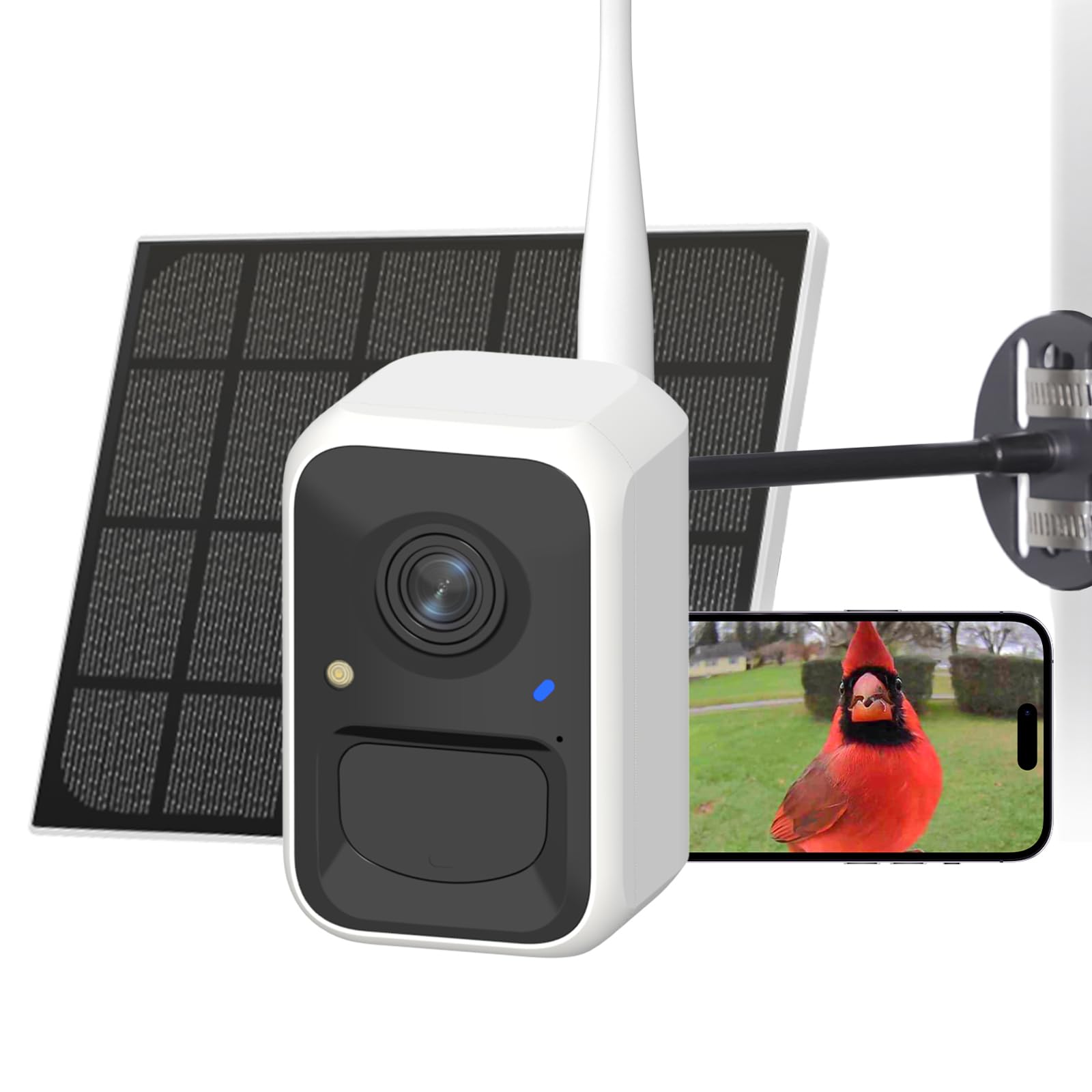 NETVUE by Birdfy Upgraded Smart Bird Feeder Camera with Solar Power - Auto Bird Video Capture, AI Identifies 6000+ Species, Instant Phone Notifications - Perfect for Backyard Bird Watching & Wildlife Monitoring