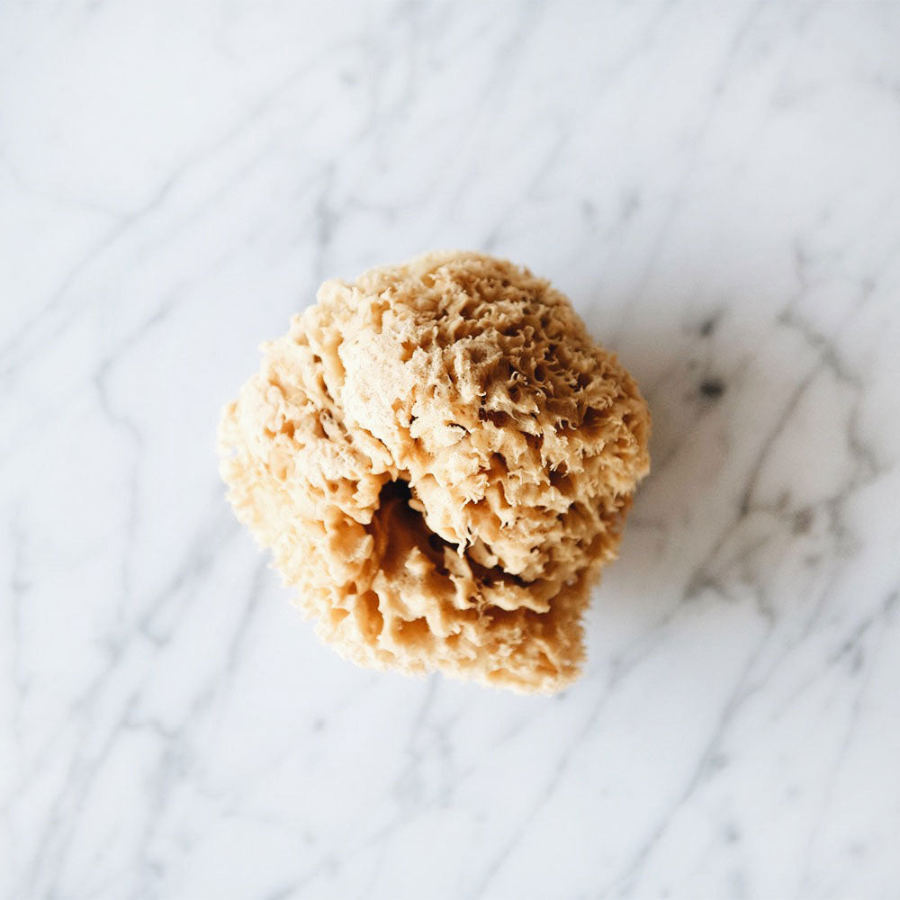 Natural Sea Sponge for Bath & Body - Organic, Eco-Friendly Skincare & Makeup Applicator - Perfect for Sensitive Skin, Baby Care & Eco-Conscious Beauty Routines