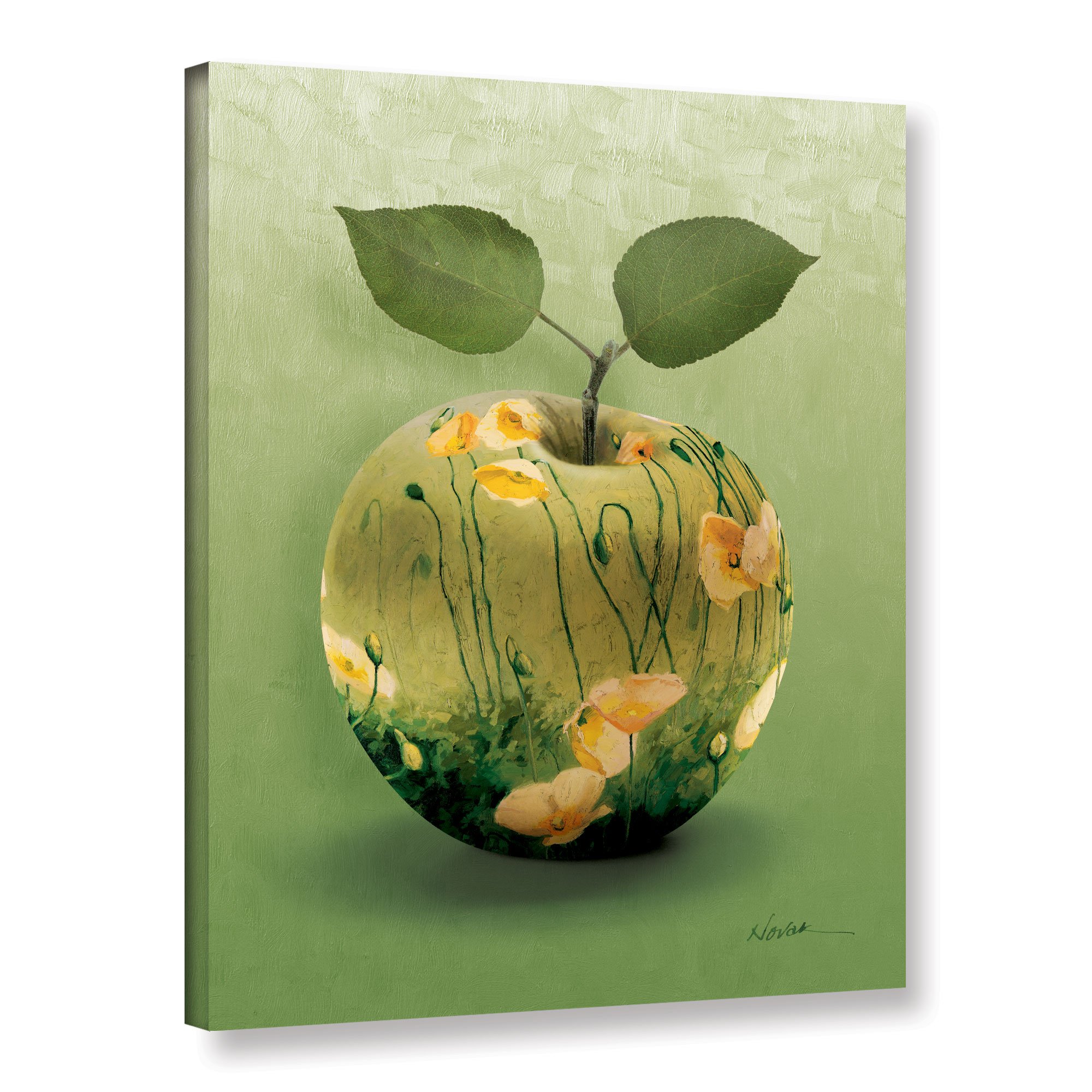 Shirly Novak 'Midday Sun Apple' Gallery Wrapped Canvas Art Print - 36x48 Inches Wall Decor for Living Room, Bedroom & Office