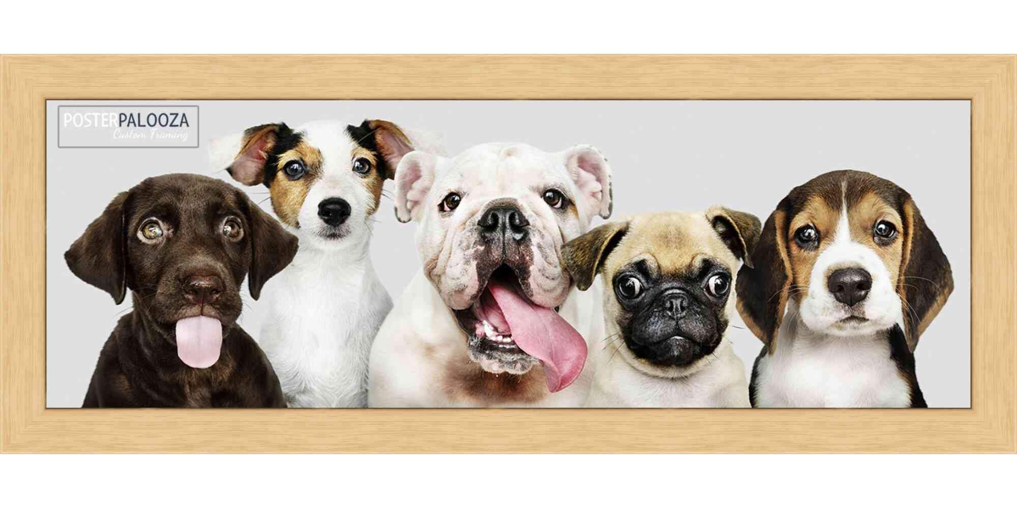 12x48 Natural Wood Picture Frame - Modern Minimalist Solid Wood Photo Frame with UV Acrylic, Foam Backing & Hanging Hardware - Panoramic Poster Frame for Wall Art, Home Decor, Office Display (12