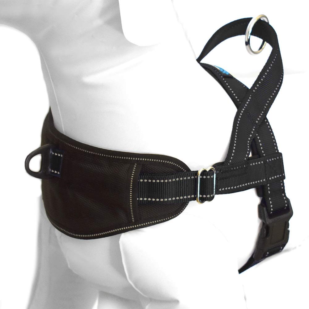 Max & Neo Reflective Dog Harness for Small Dogs - Adjustable & Durable Pet Safety Vest with Passport Pocket (Black) - Perfect for Night Walks, Hiking & Travel - Buy One & We Donate to Dog Rescues